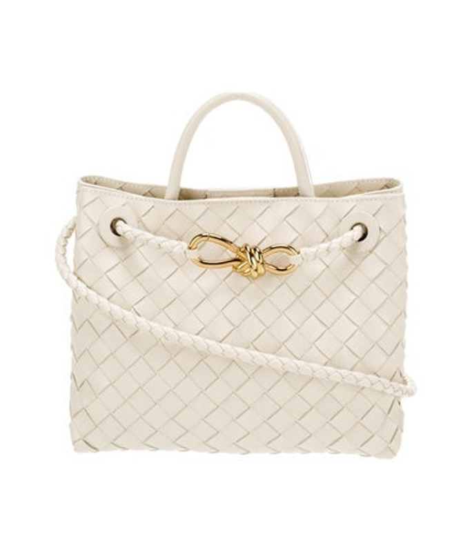 Bottega Veneta Veneta Intrecciato Andiamo Small