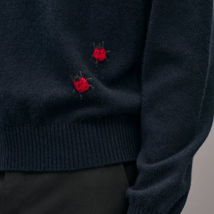Marine "Broderie Coccinelle" Crewneck Cashmere Sweater
