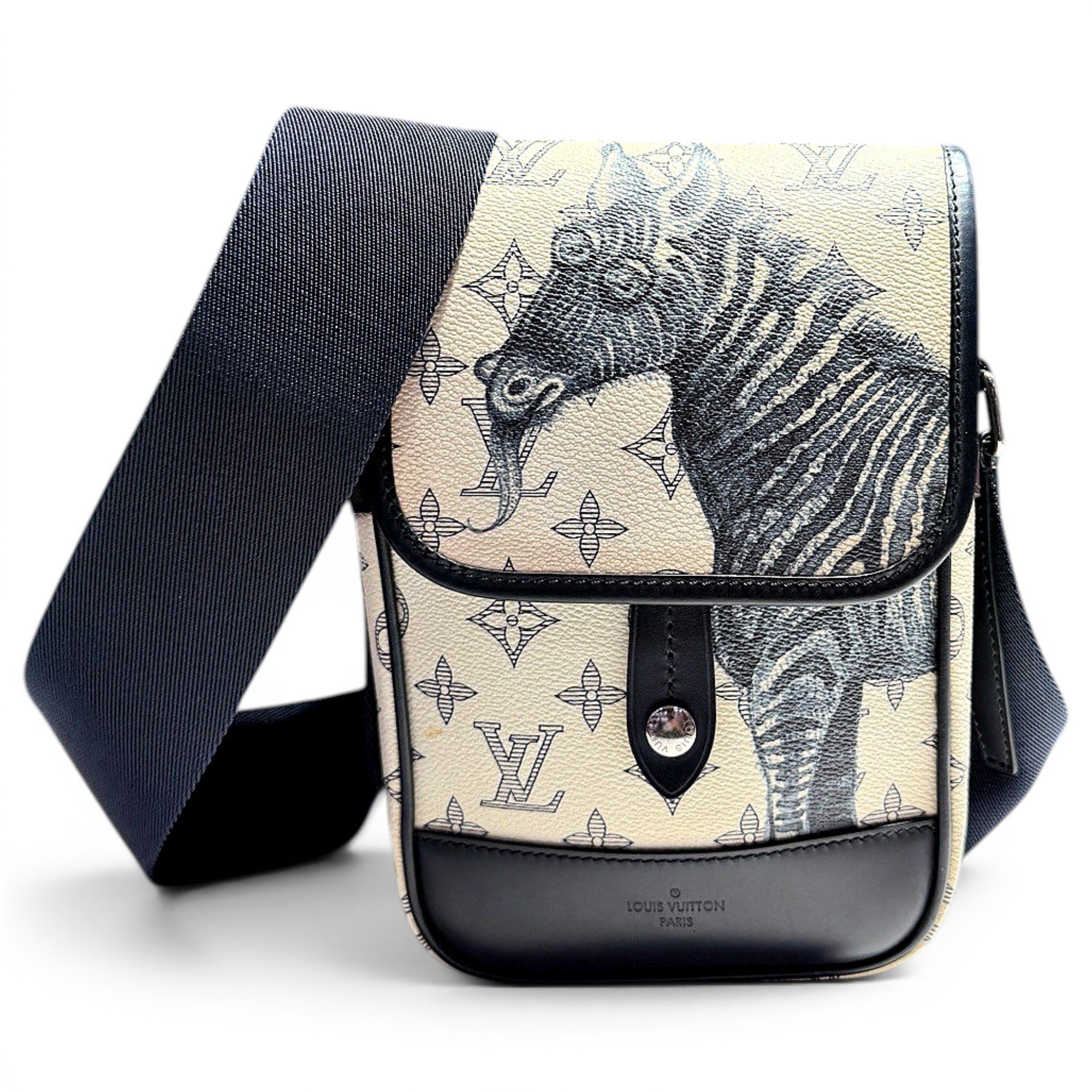 Camera Box leather handbag