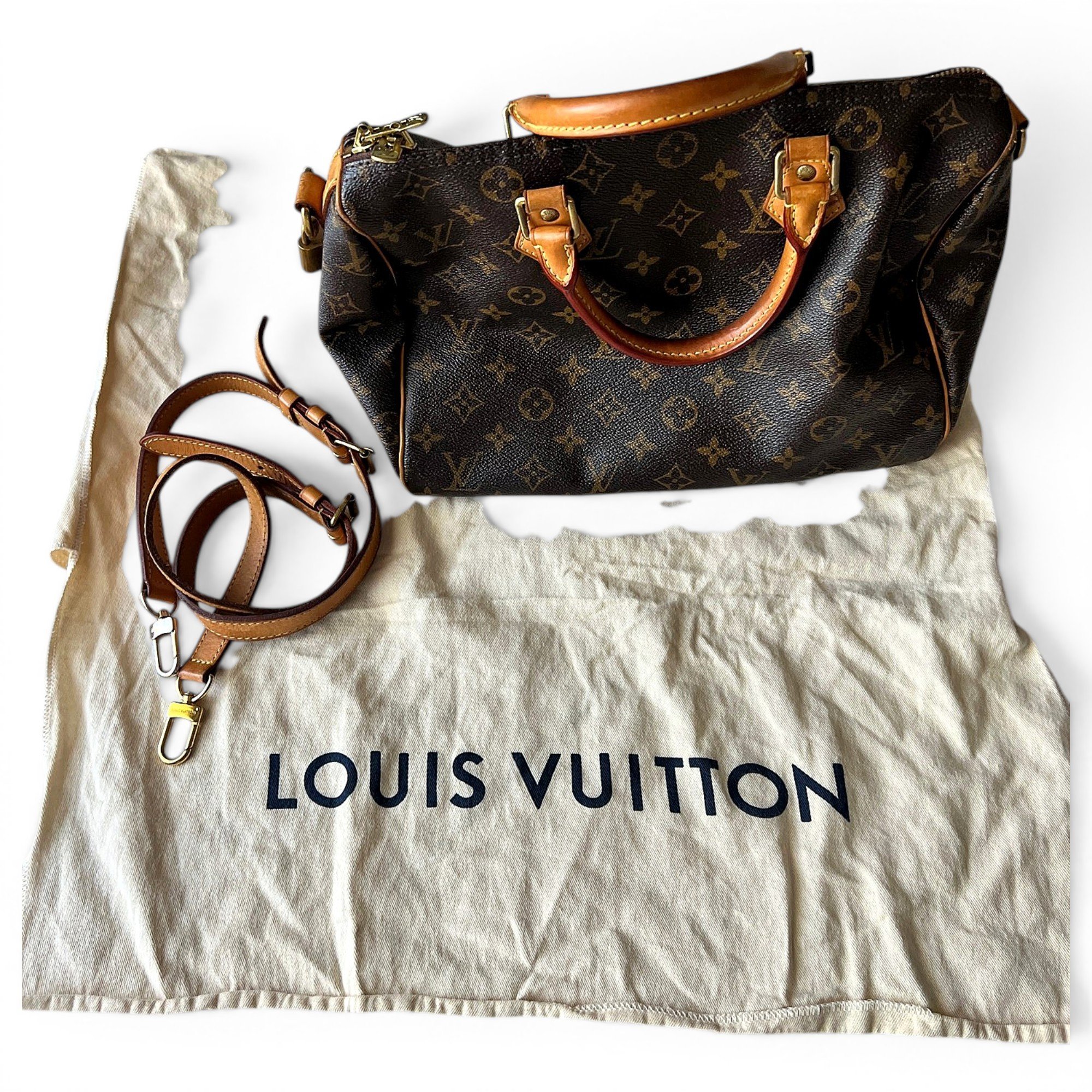 Speedy leather handbag