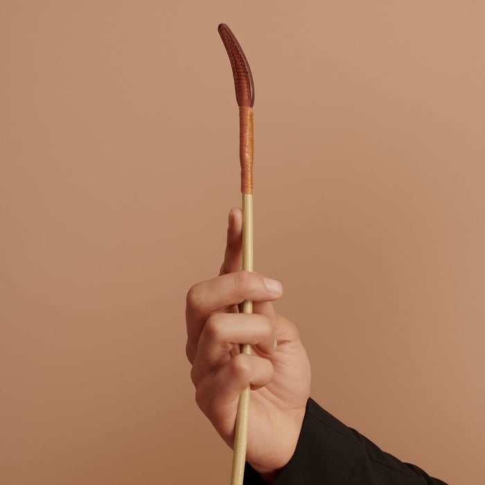 Gold Dressage Stick