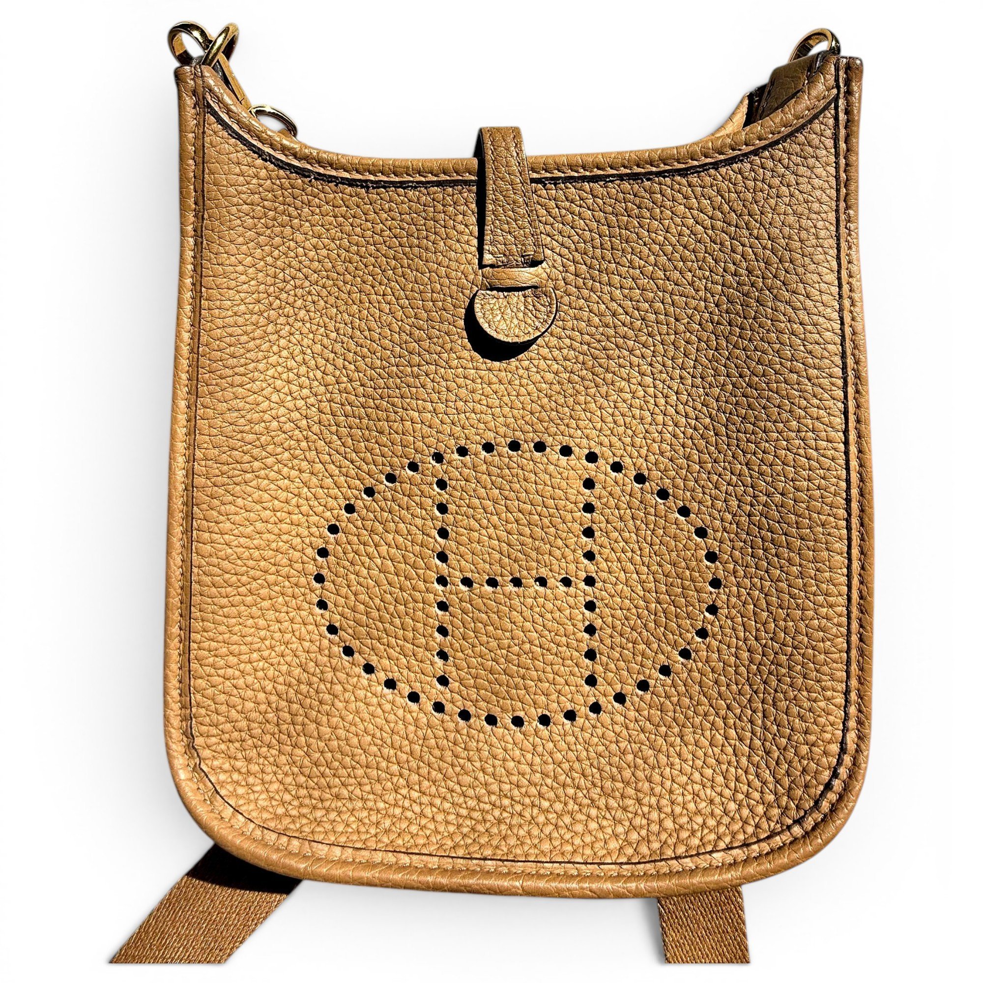 Mini Evelyne leather crossbody bag