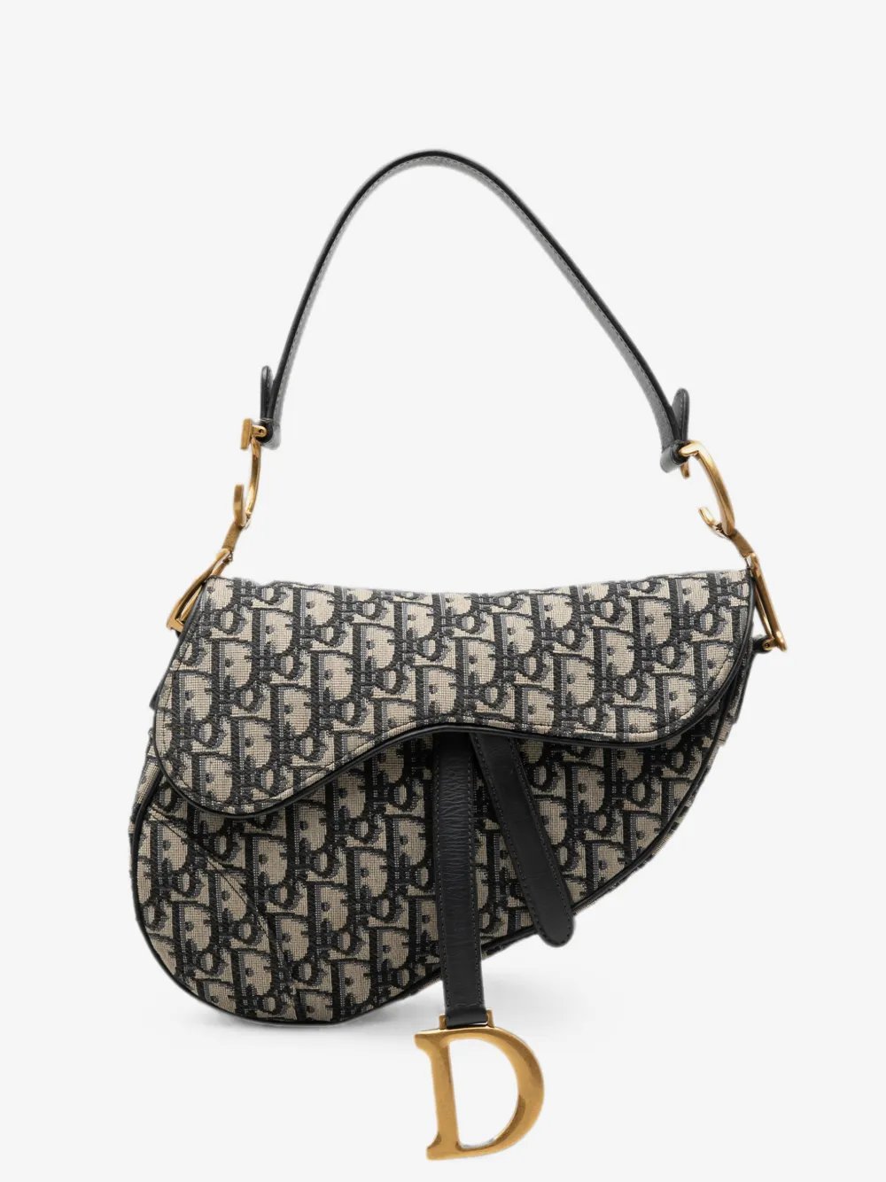 2020 Oblique Canvas Saddle Bag shoulder bag