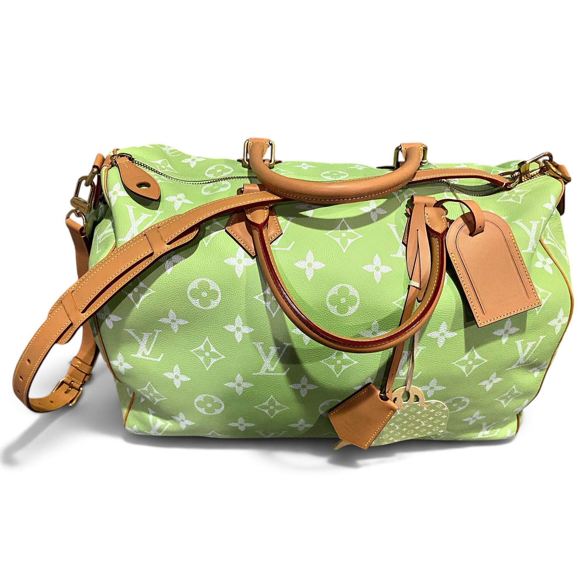 Speedy Bandoulière leather bag