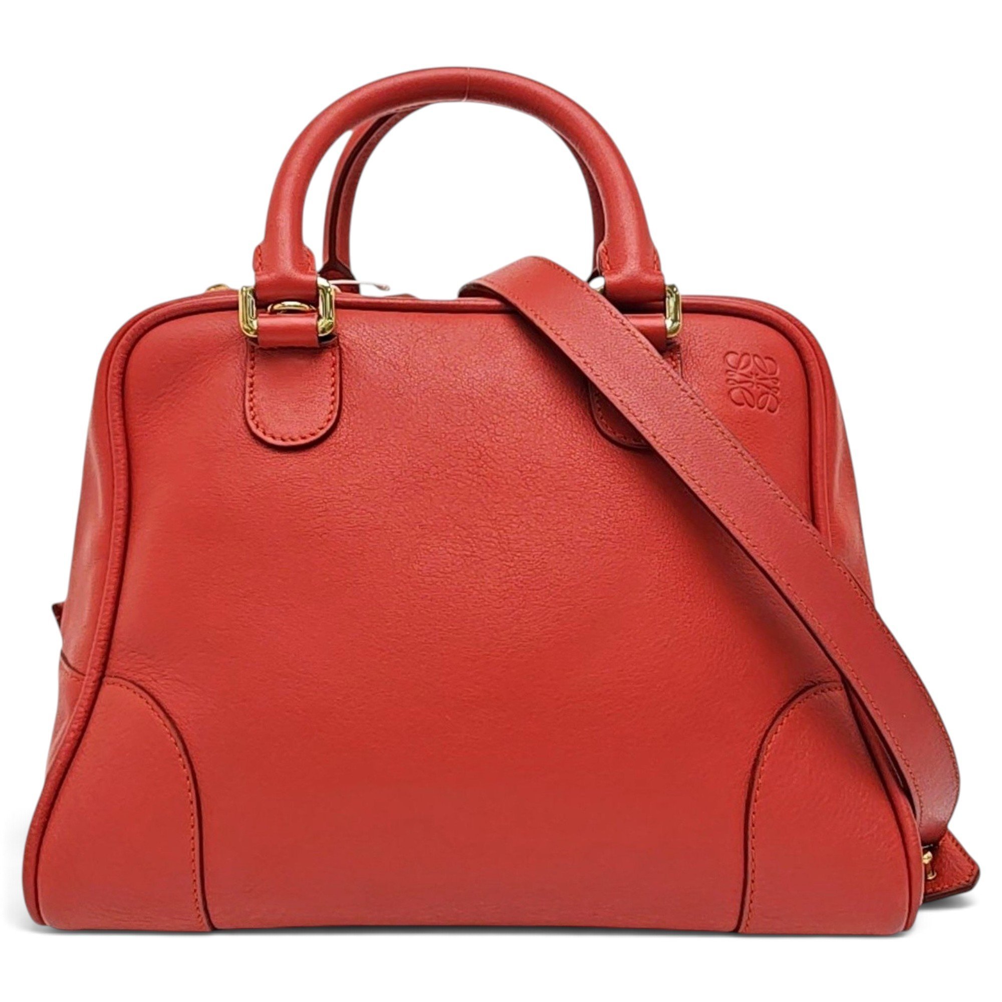 Amazona leather handbag