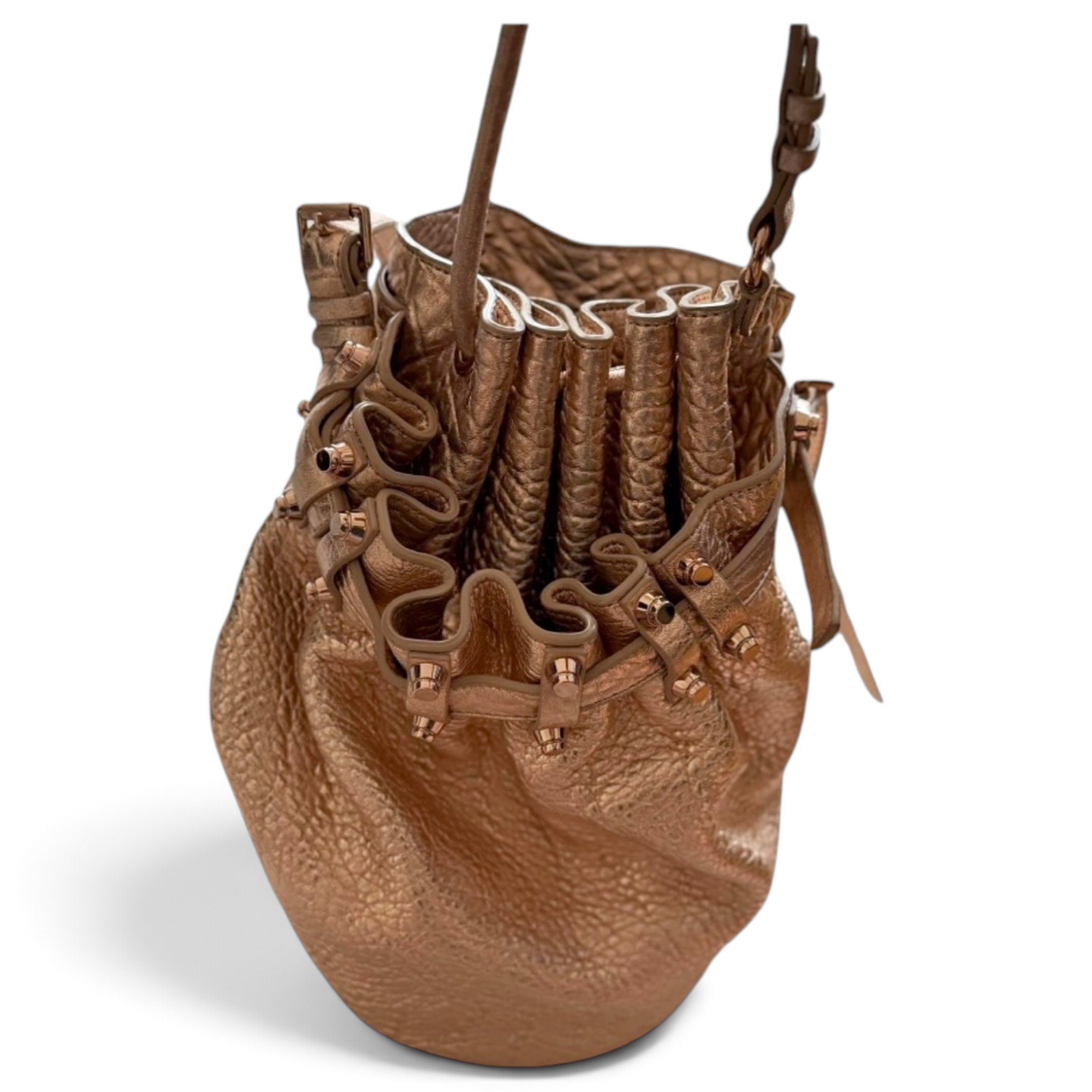 Alexander Wang Diego leather crossbody bag