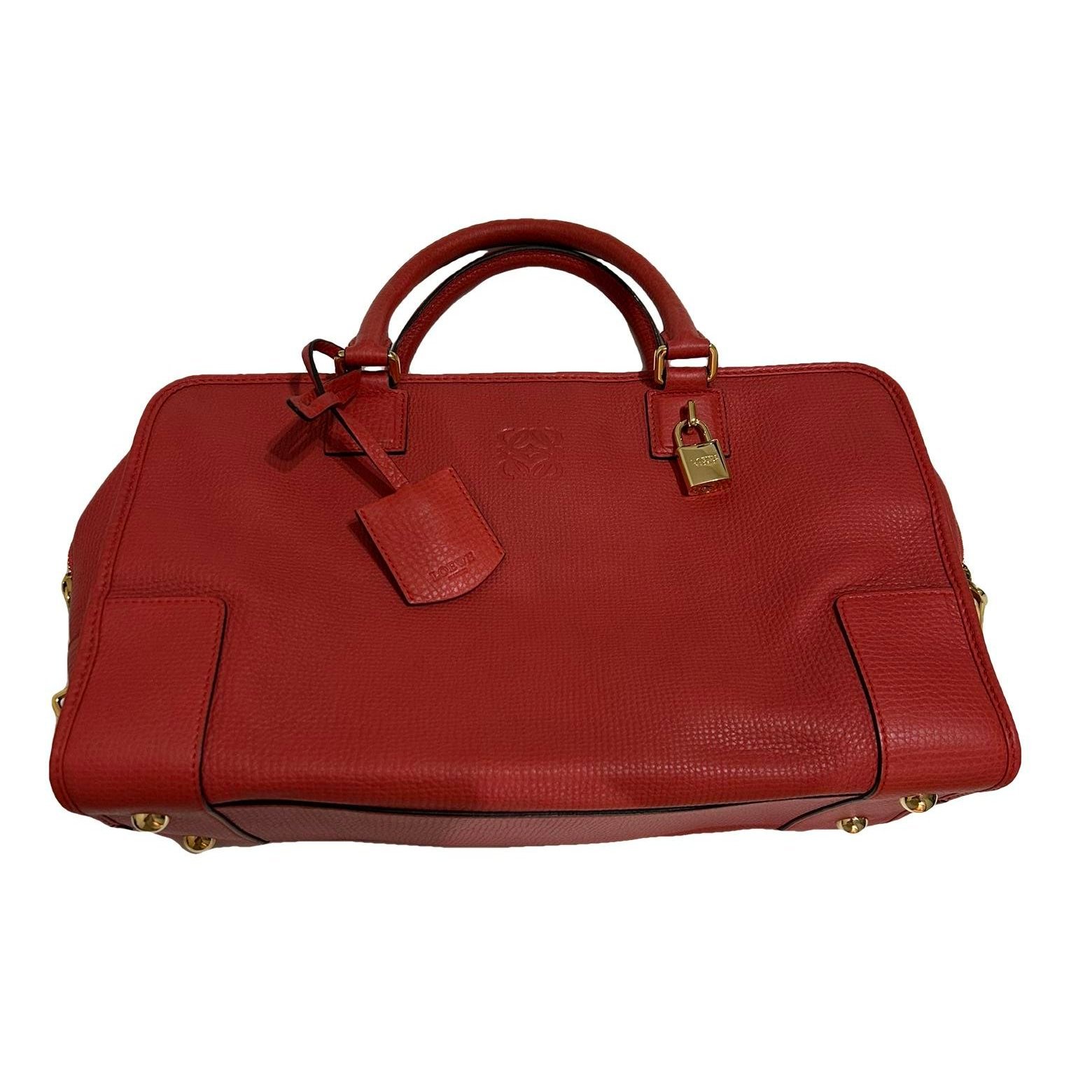 Amazona leather handbag