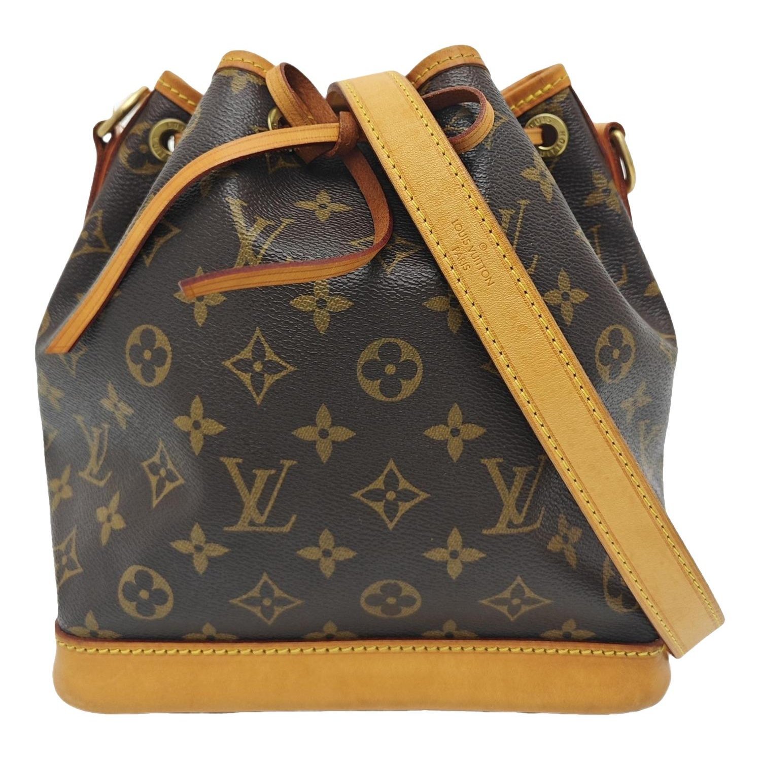 Nano Noé leather handbag