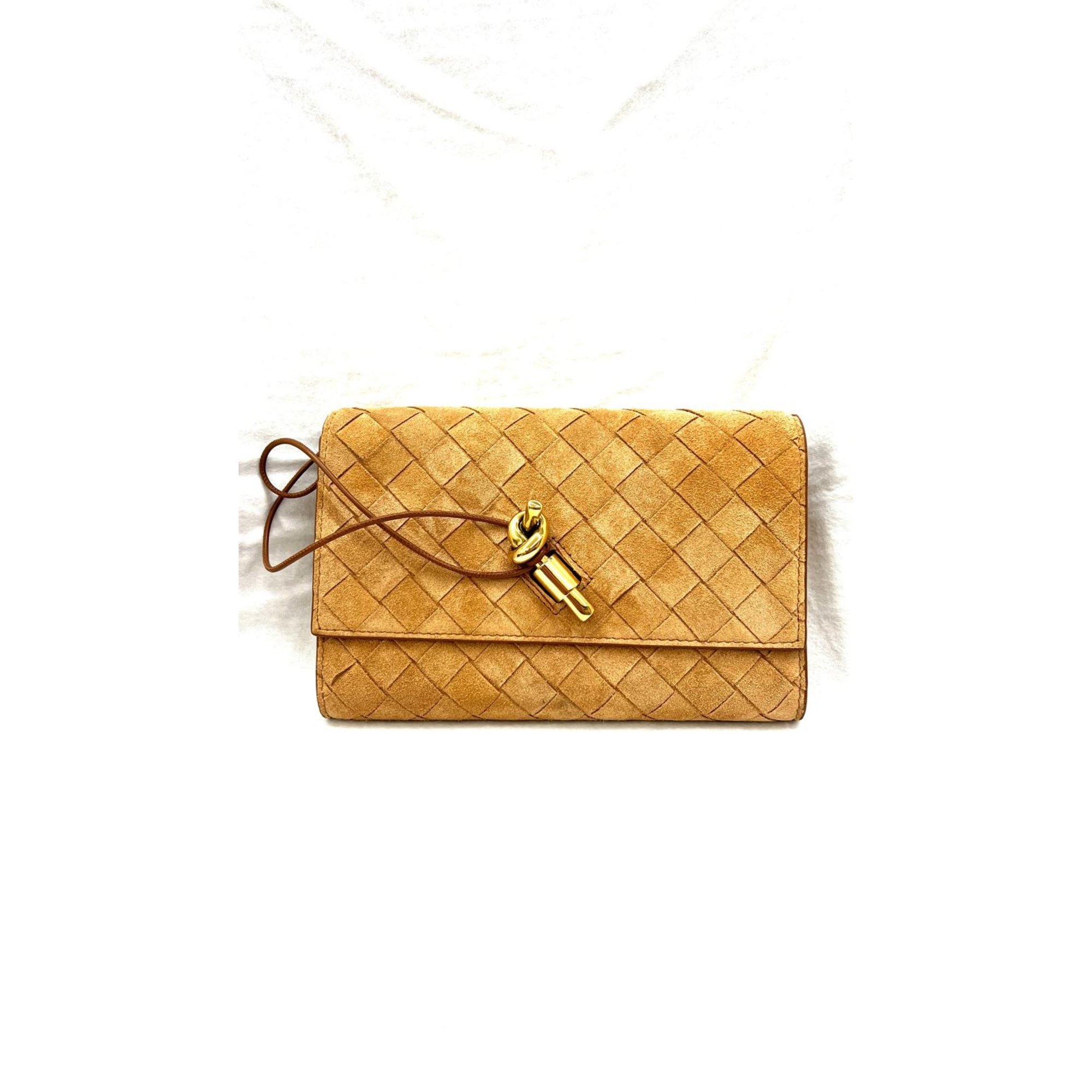 Andiamo clutch bag