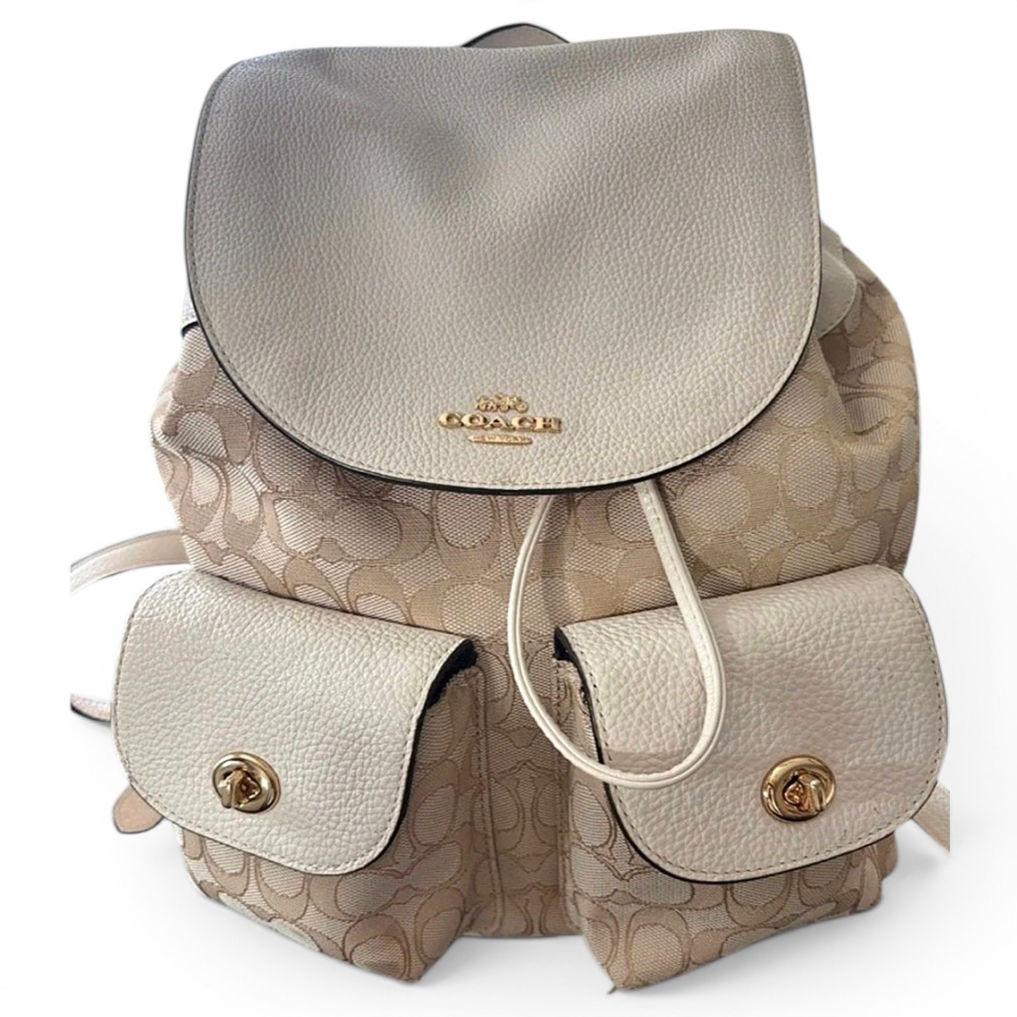 Leather backpack