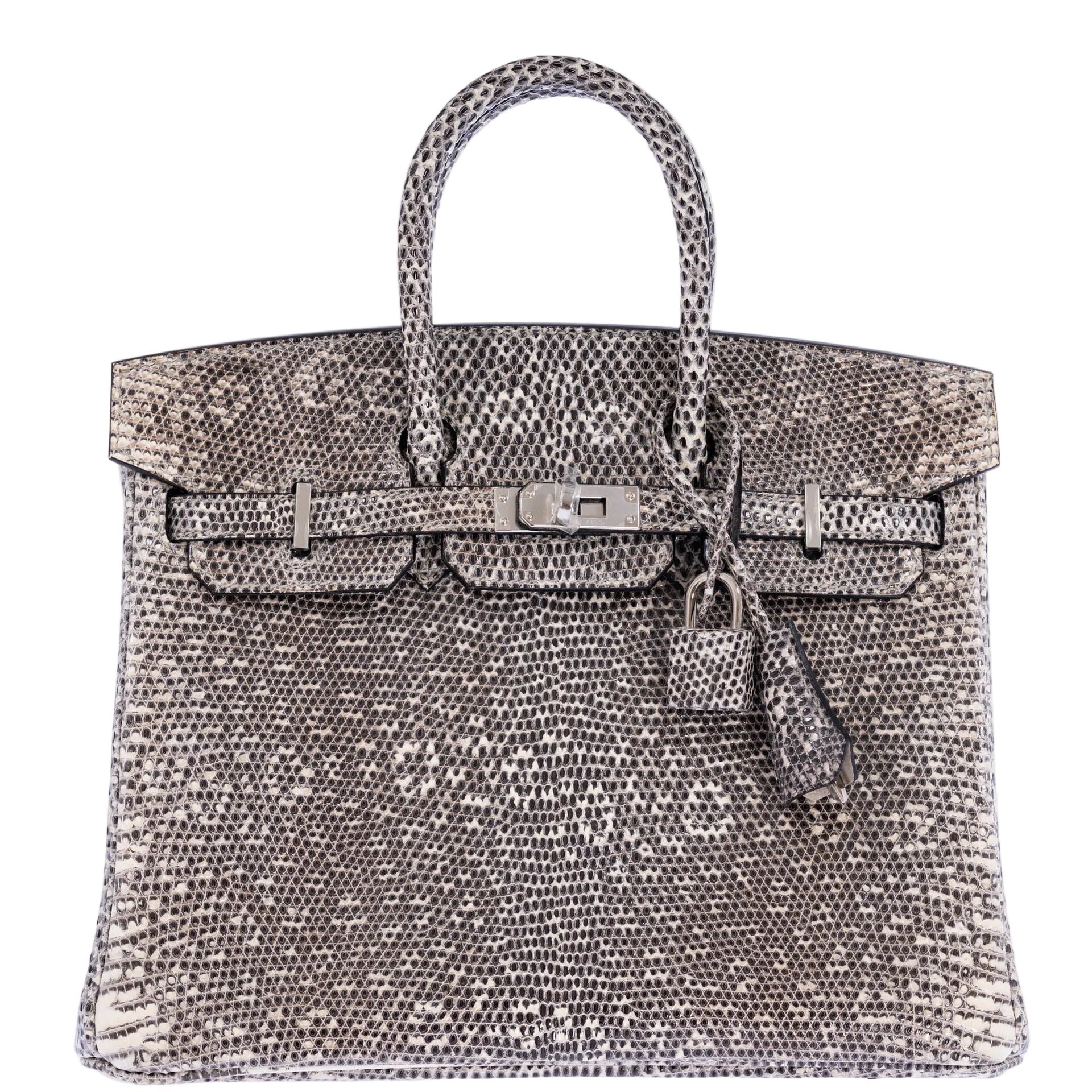 Hermès Birkin 25 Ombré Salvator Lizard Palladium Hardware