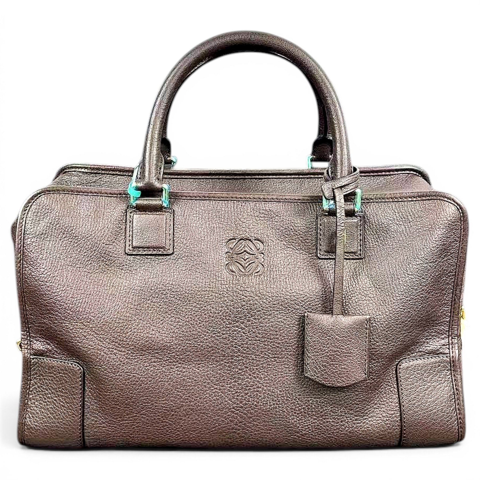 Amazona leather handbag
