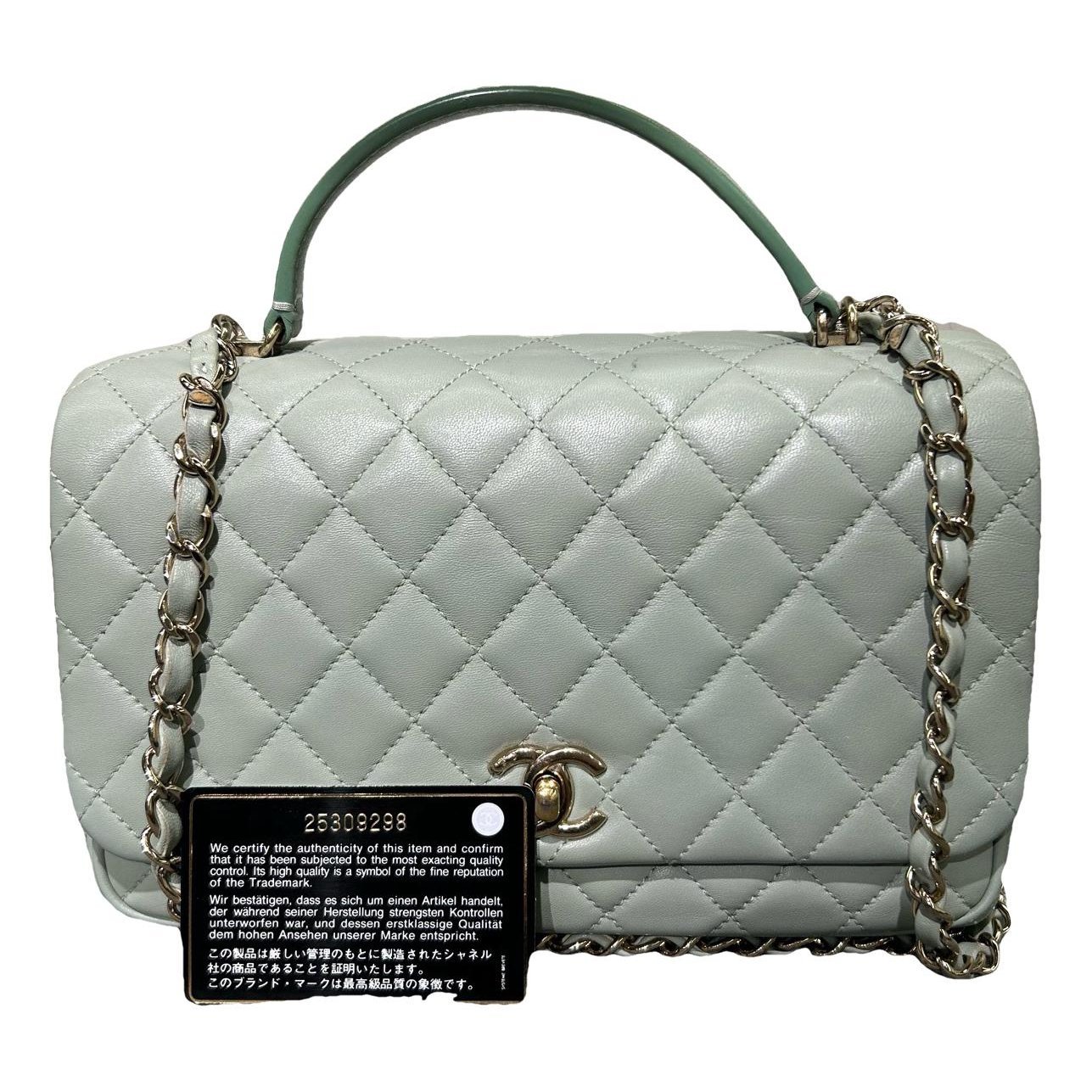 Coco Handle leather handbag