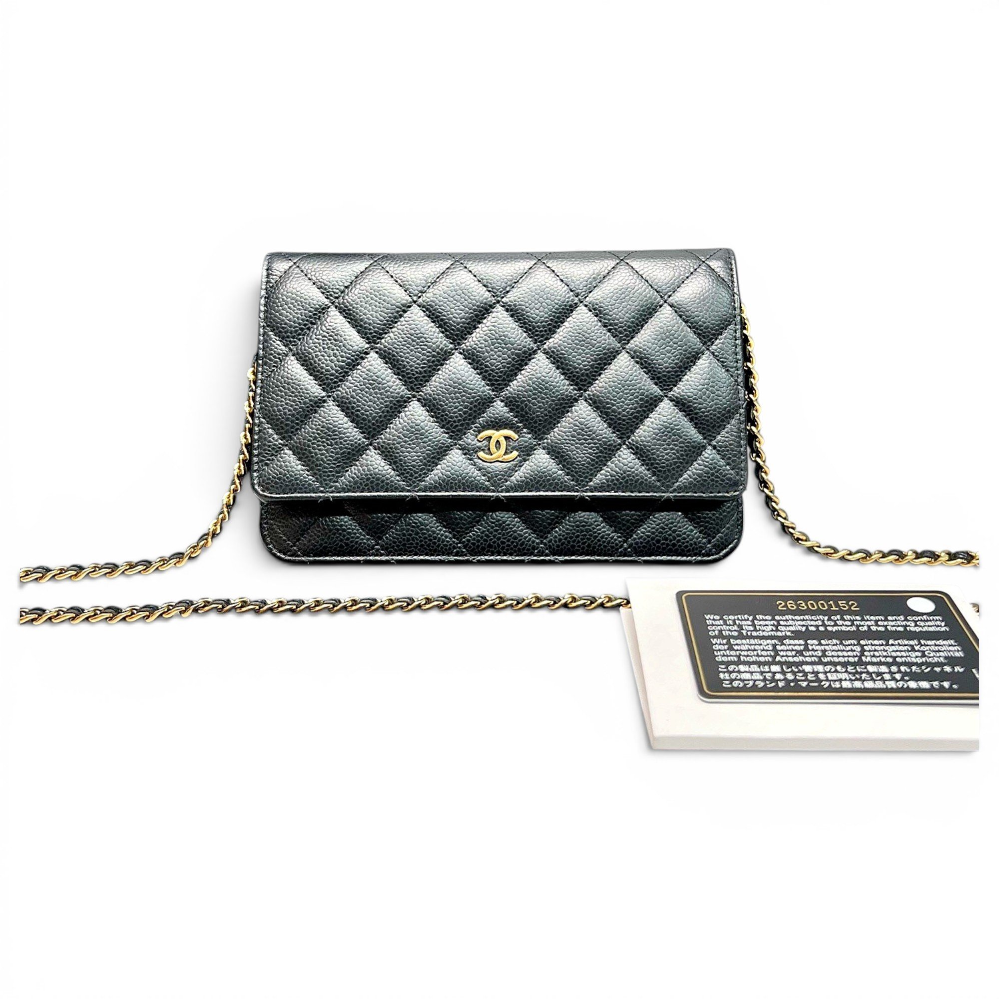 Trendy CC Wallet on Chain leather handbag