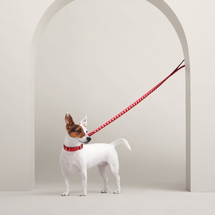 Rouge De Cœur Medor Dog Leash