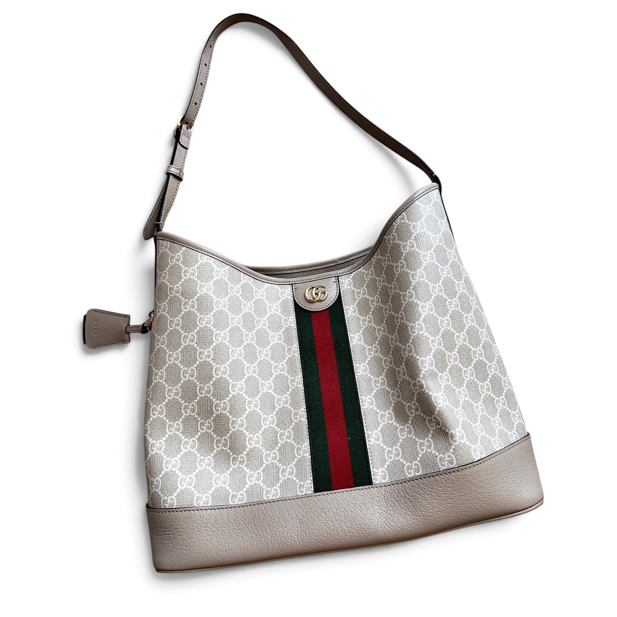 Ophidia Hobo leather handbag