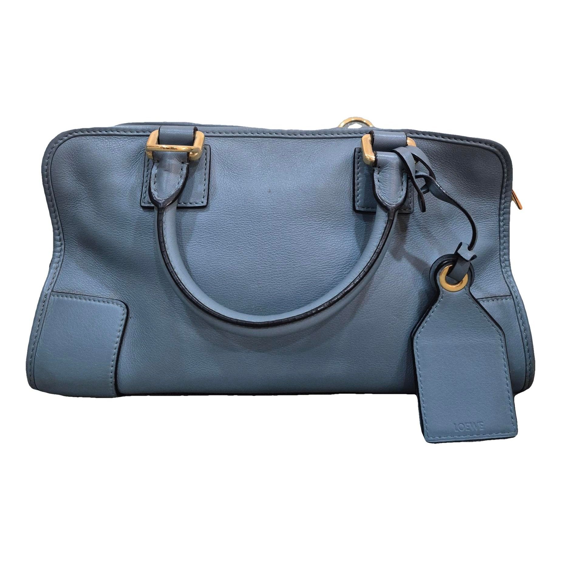 Amazona leather handbag