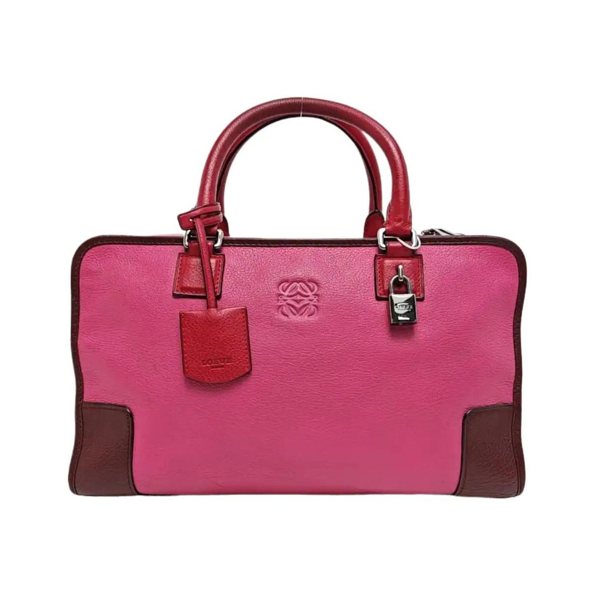 Amazona leather handbag