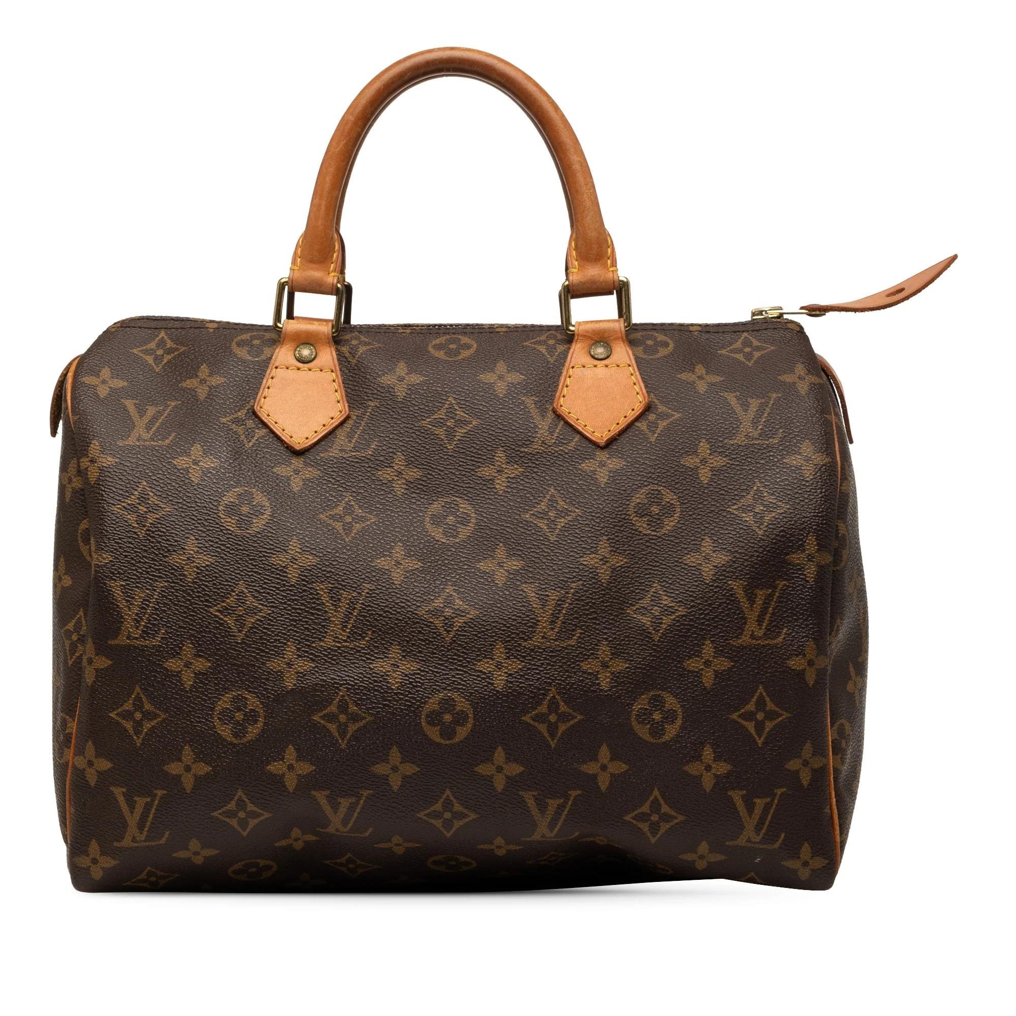 Speedy leather bag