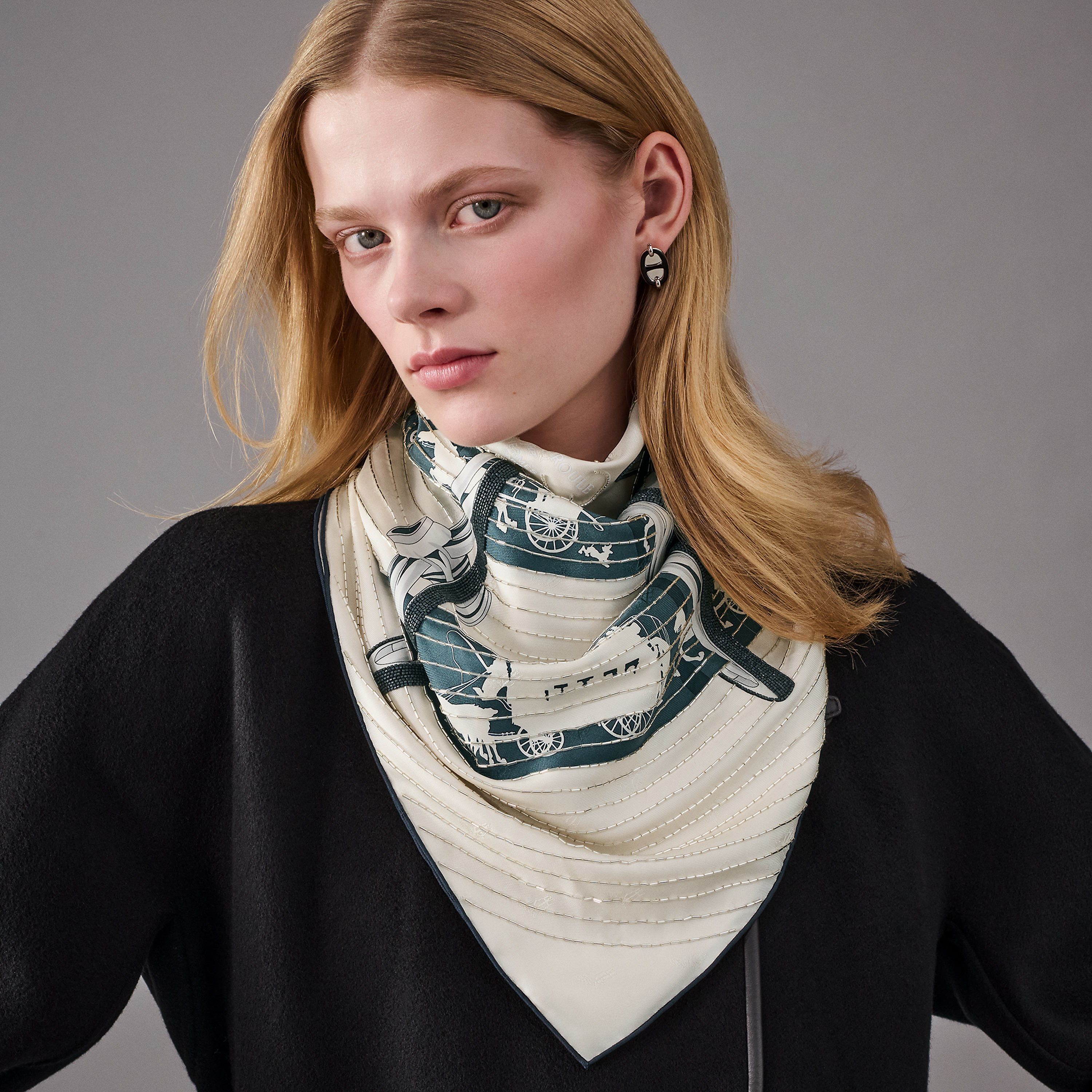 Paris Qui Roule Exceptional embroidered scarf 70
