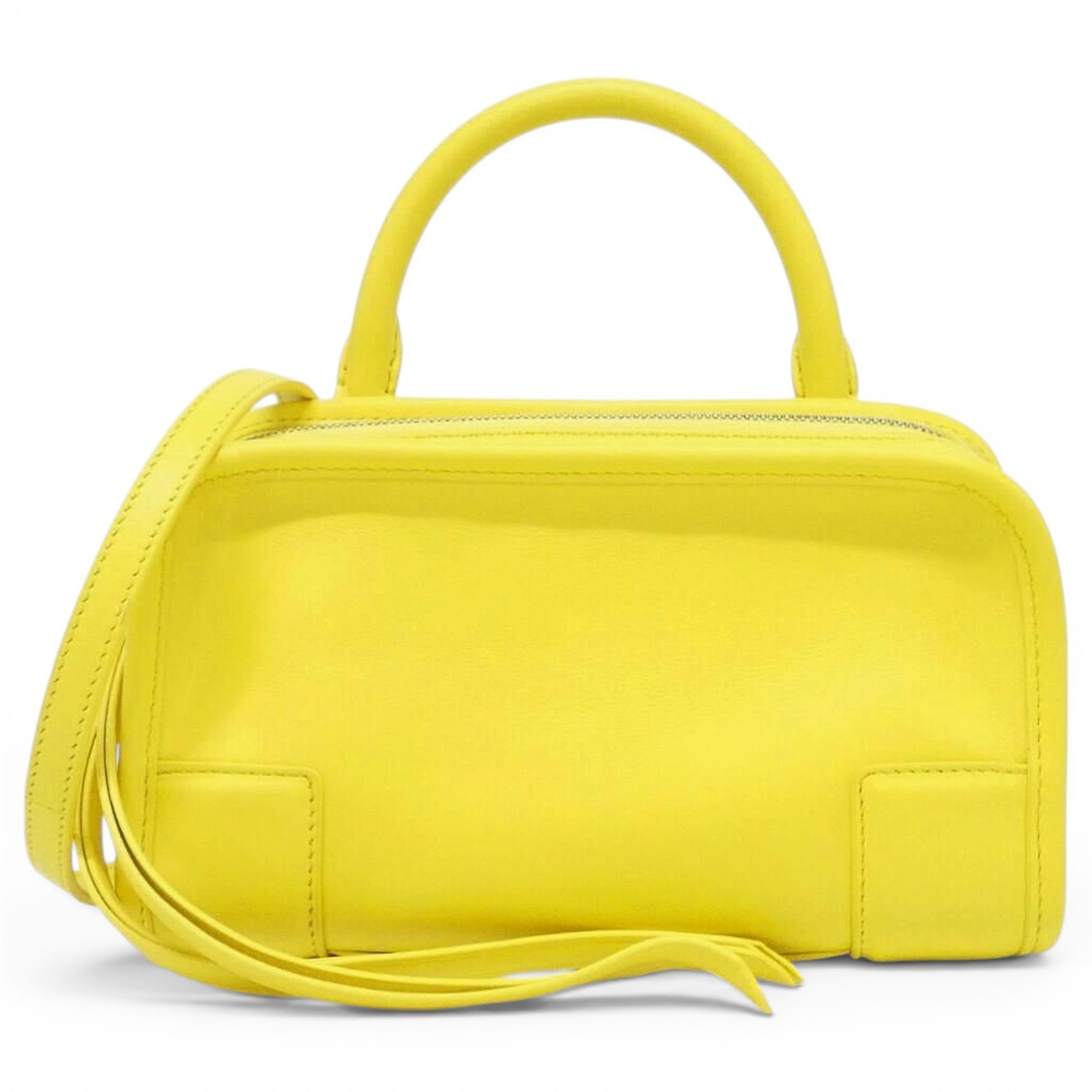 Amazona leather handbag