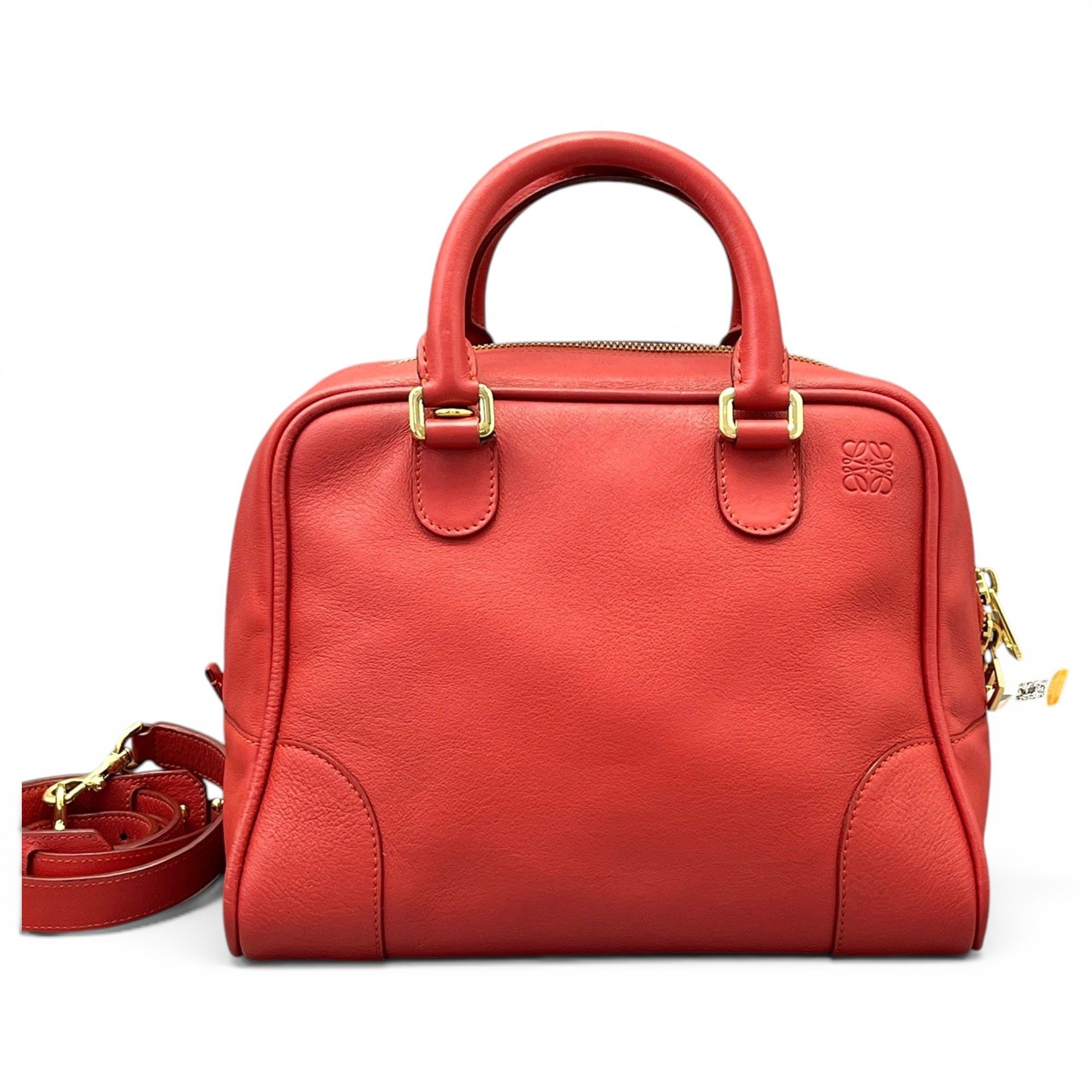Amazona leather handbag