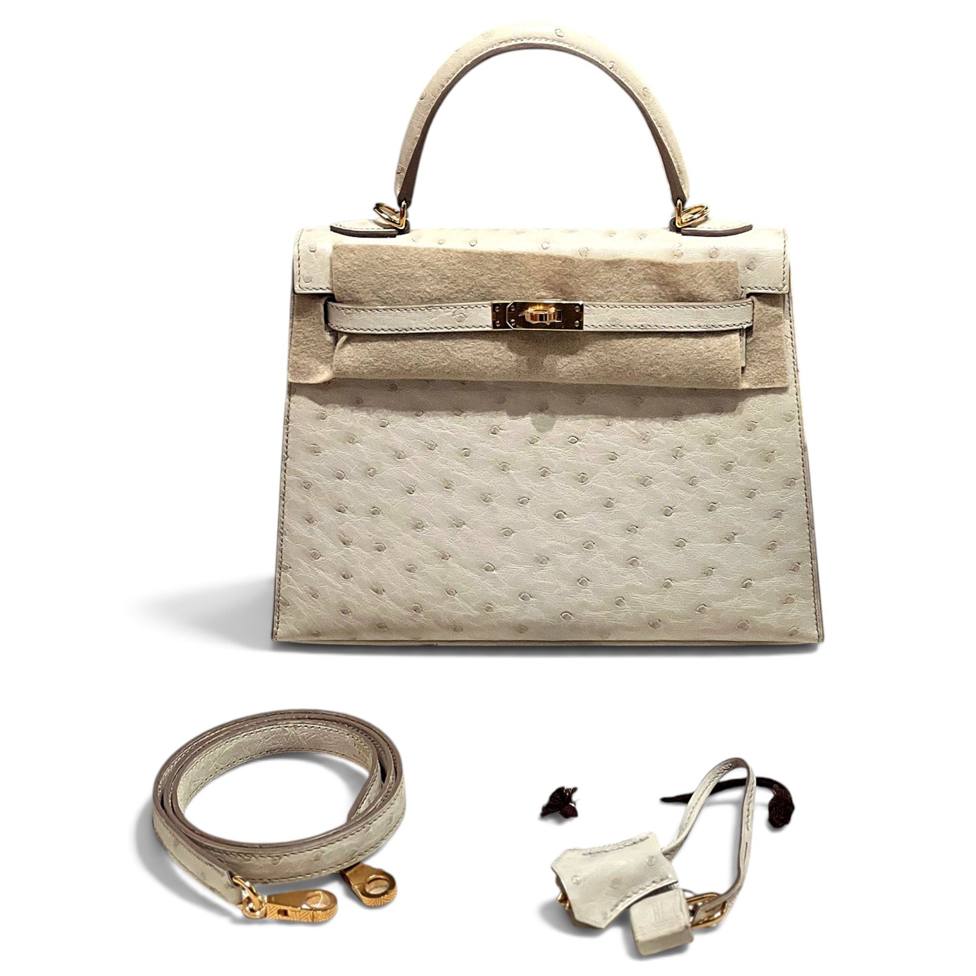 Kelly 25 ostrich handbag
