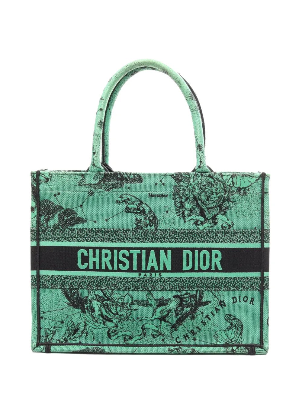 2000-2026 Medium Embroidered Canvas Book tote bag
