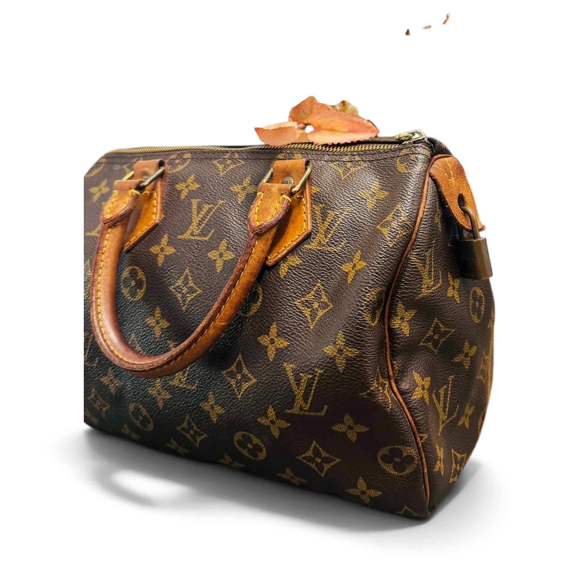 Louis Vuitton Speedy leather handbag