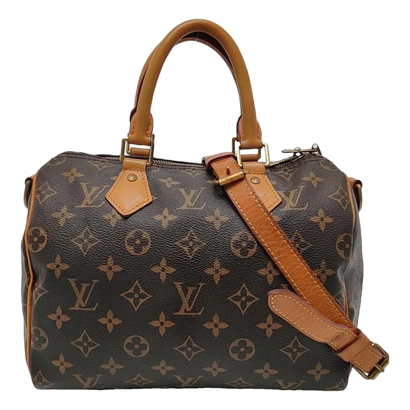 Louis Vuitton Speedy cloth bag