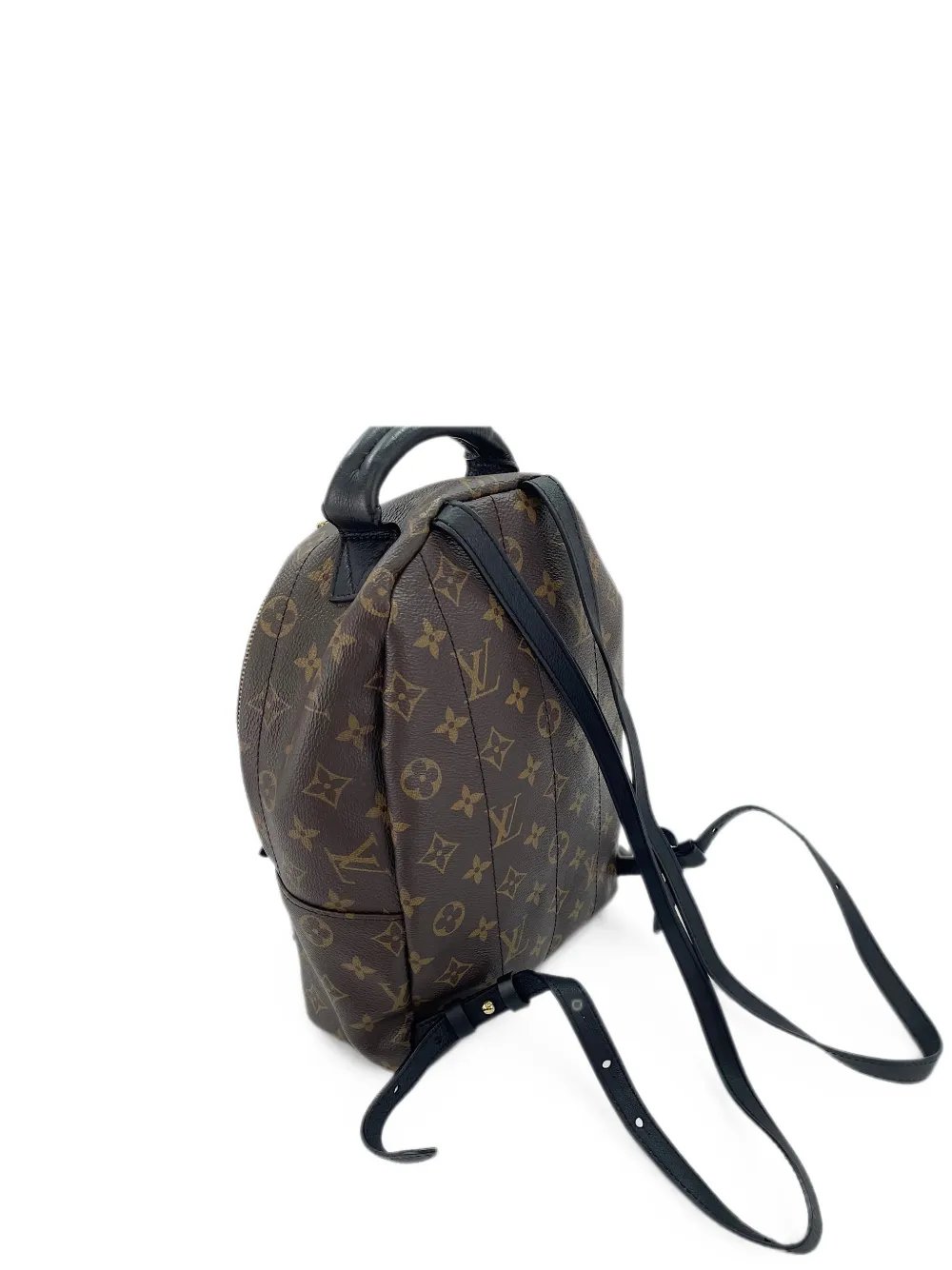 2019 Palm Springs Monogram backpack