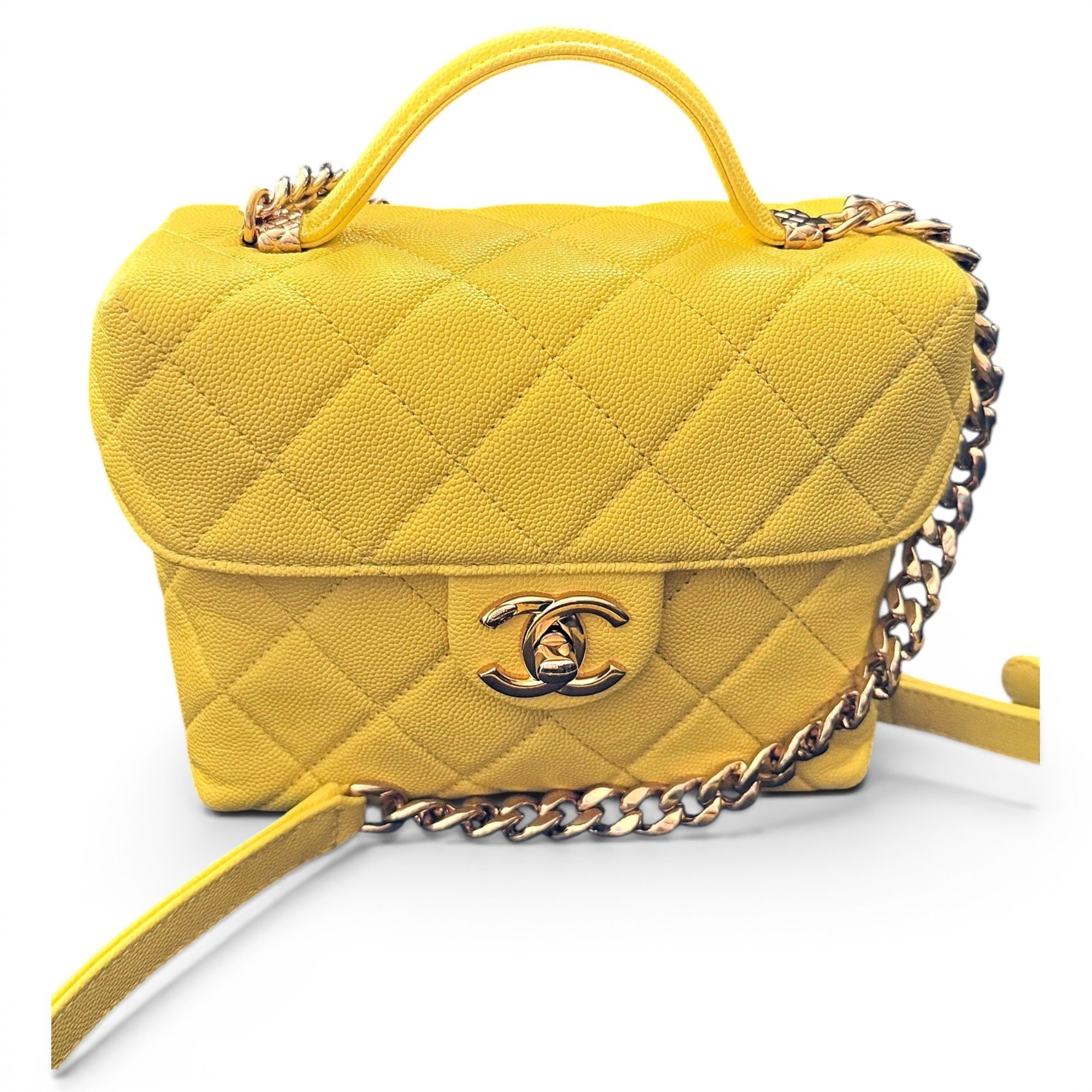Coco Handle leather handbag