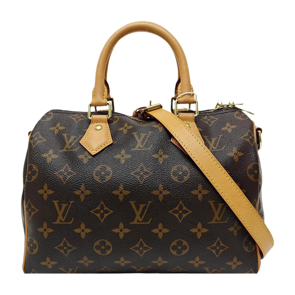 Louis Vuitton Nano Speedy / Mini HL leather handbag