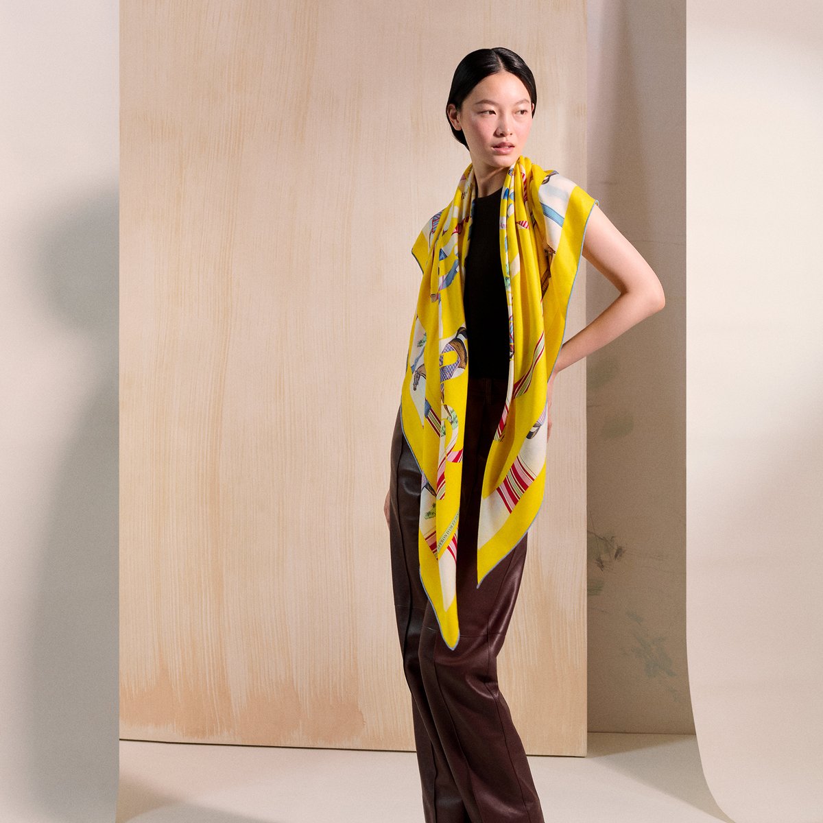 Hermès カレジェアン カシミヤシルク 《エプロンドール&馬着