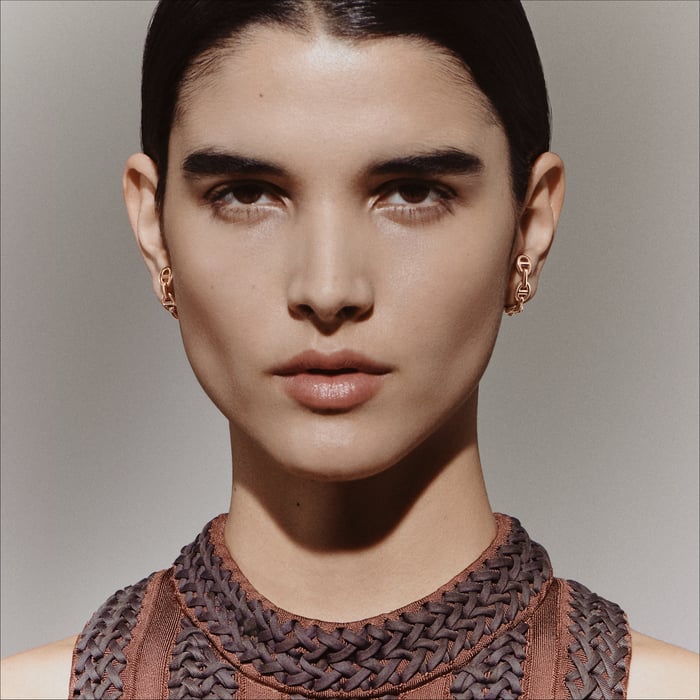 Sans Coloris Chaine d'Ancre Enchainee Earrings