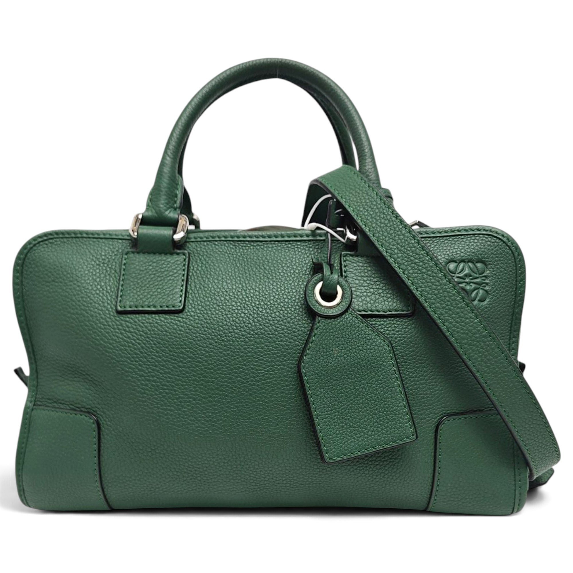 Amazona leather handbag