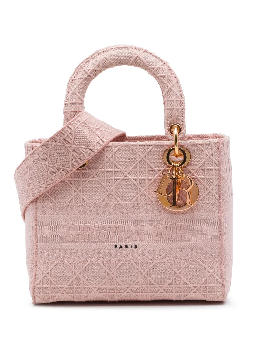 2020 Medium Embroidered Canvas Cannage Lady D Lite satchel