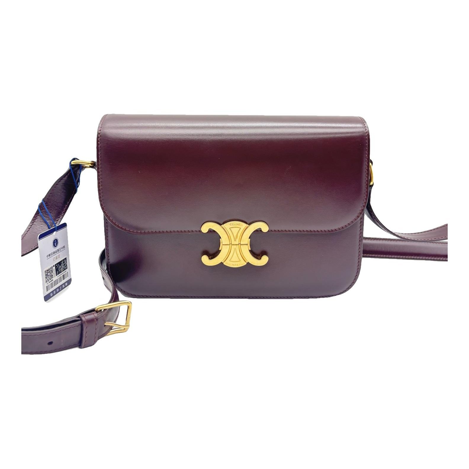 Triomphe Long leather handbag