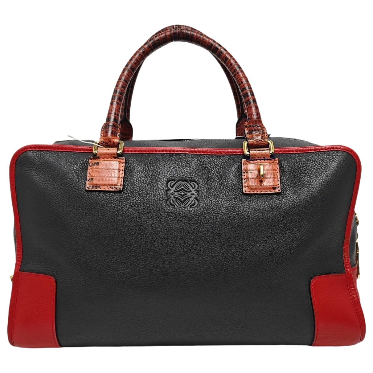 Amazona leather handbag
