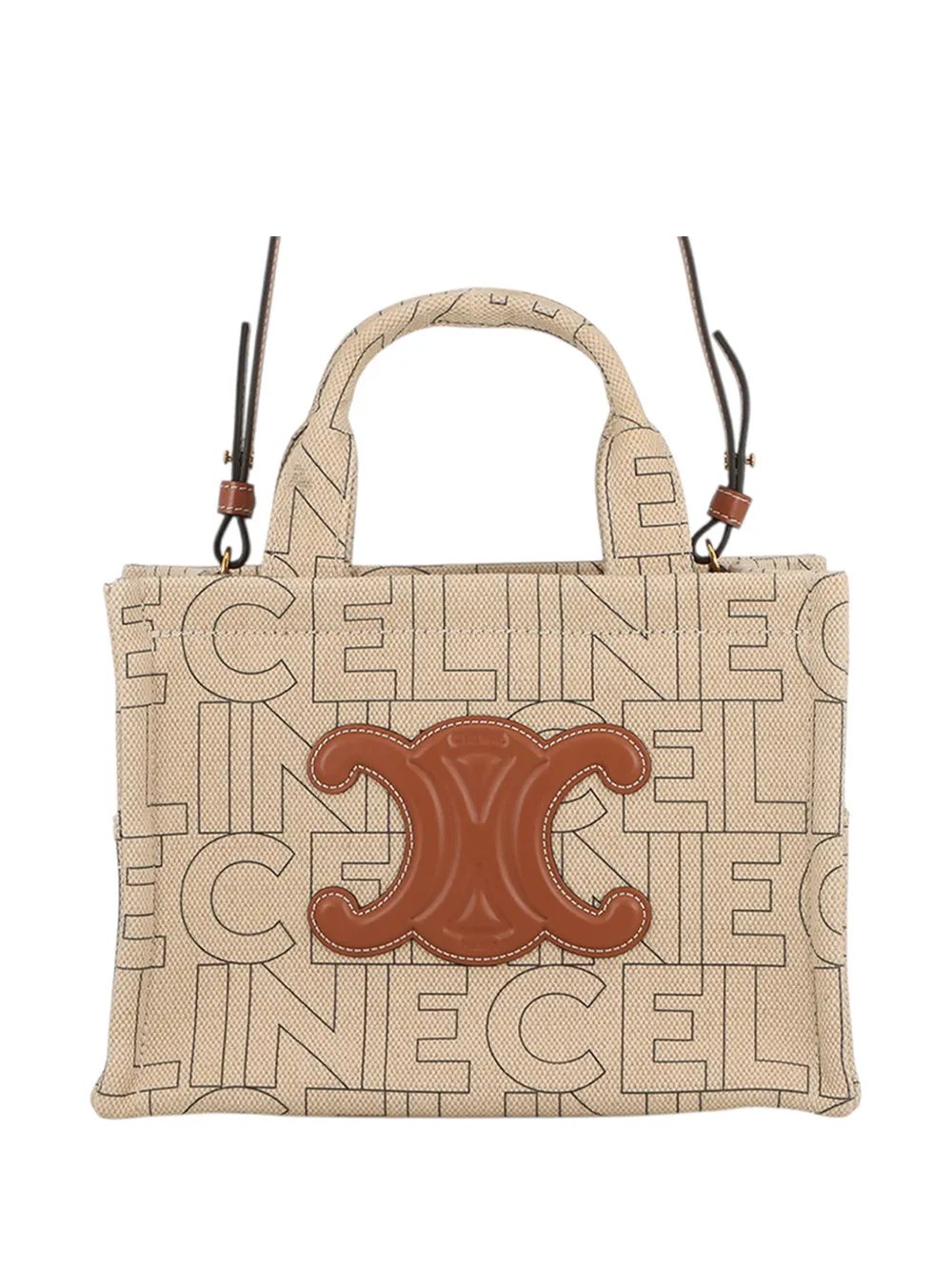 2022 Small Printed Canvas Triomphe Cabas Thais Tote satchel
