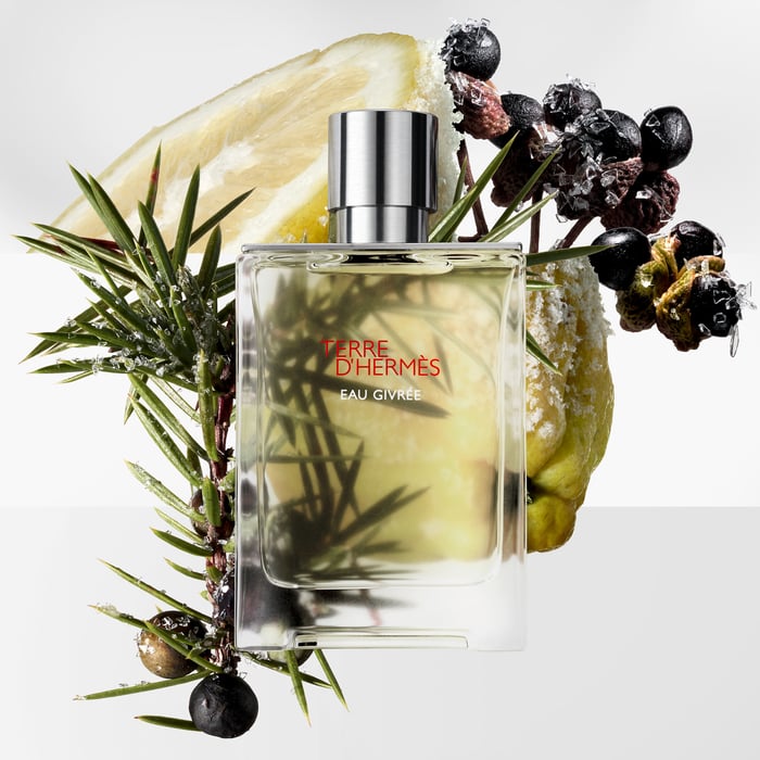 Sans Coloris Terre d'Hermes Eau Givree Eau De Parfum
