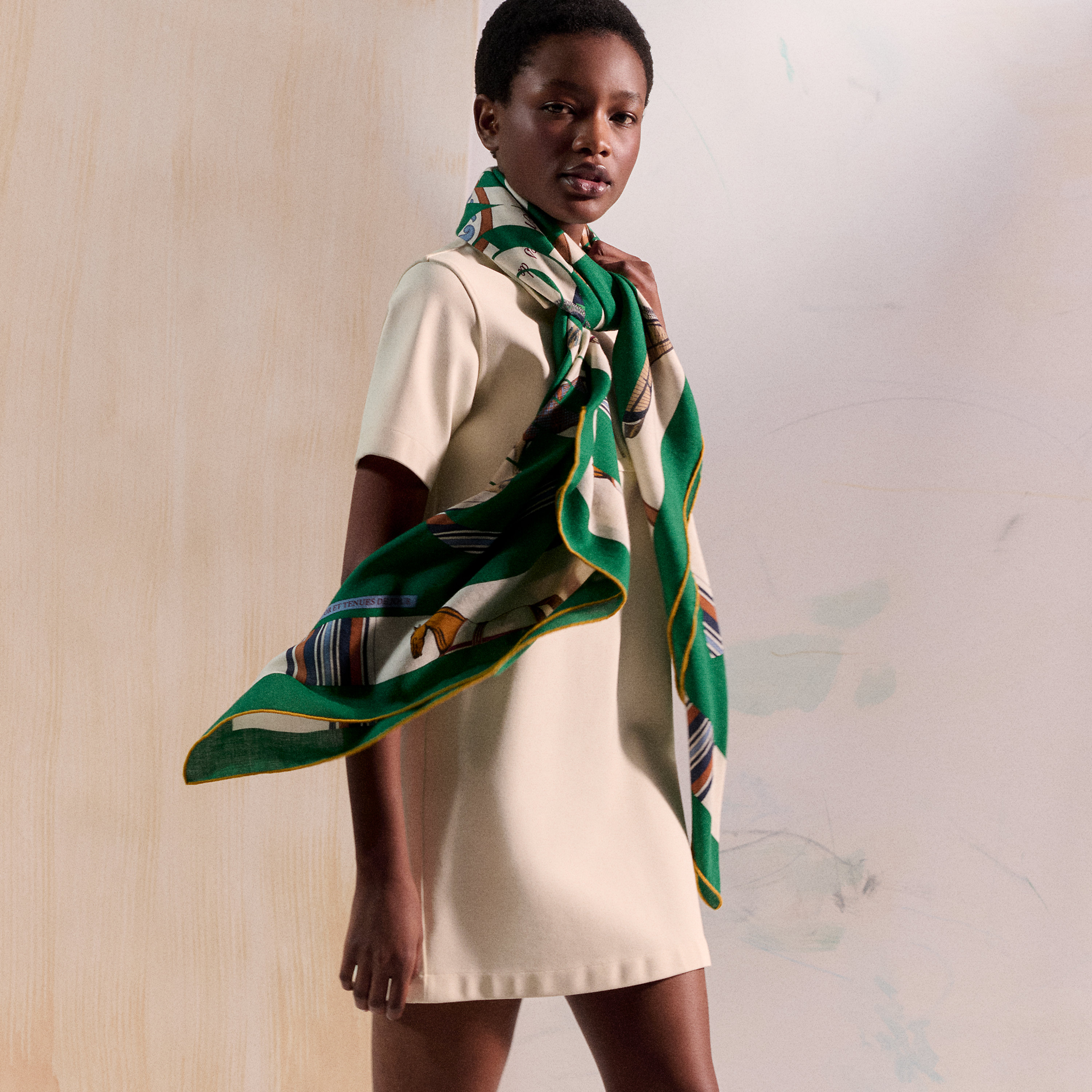 Hermès カレジェアン カシミヤシルク 《エプロンドール&馬着》 グリ