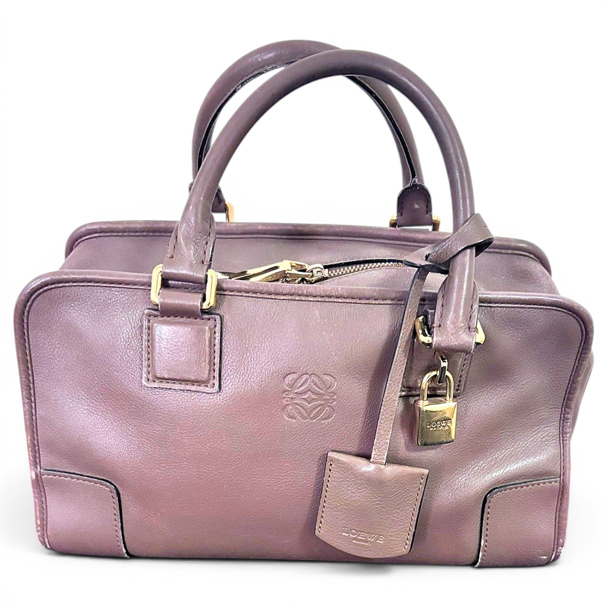 Amazona leather handbag