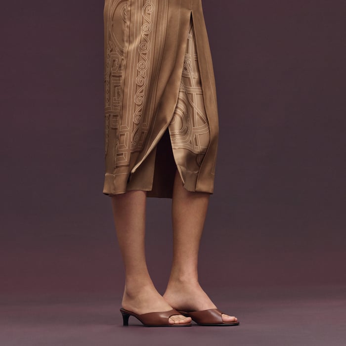 Beige Zénith "l'Enseigne Du Sellier" Long Skirt