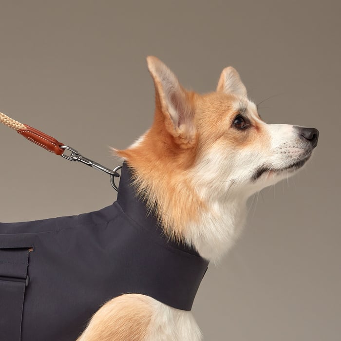 Dog raincoat, M and L
