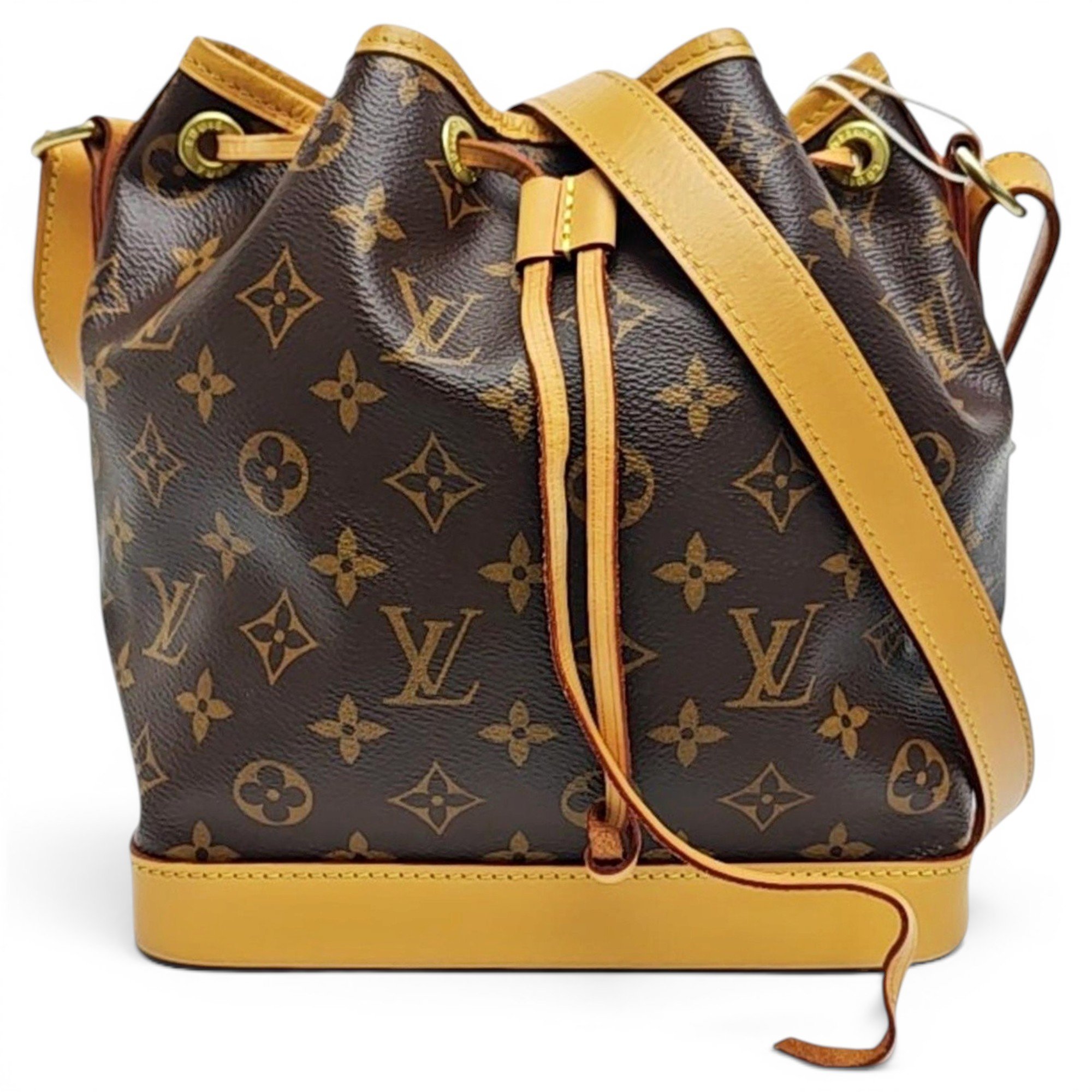 Nano Noé leather handbag