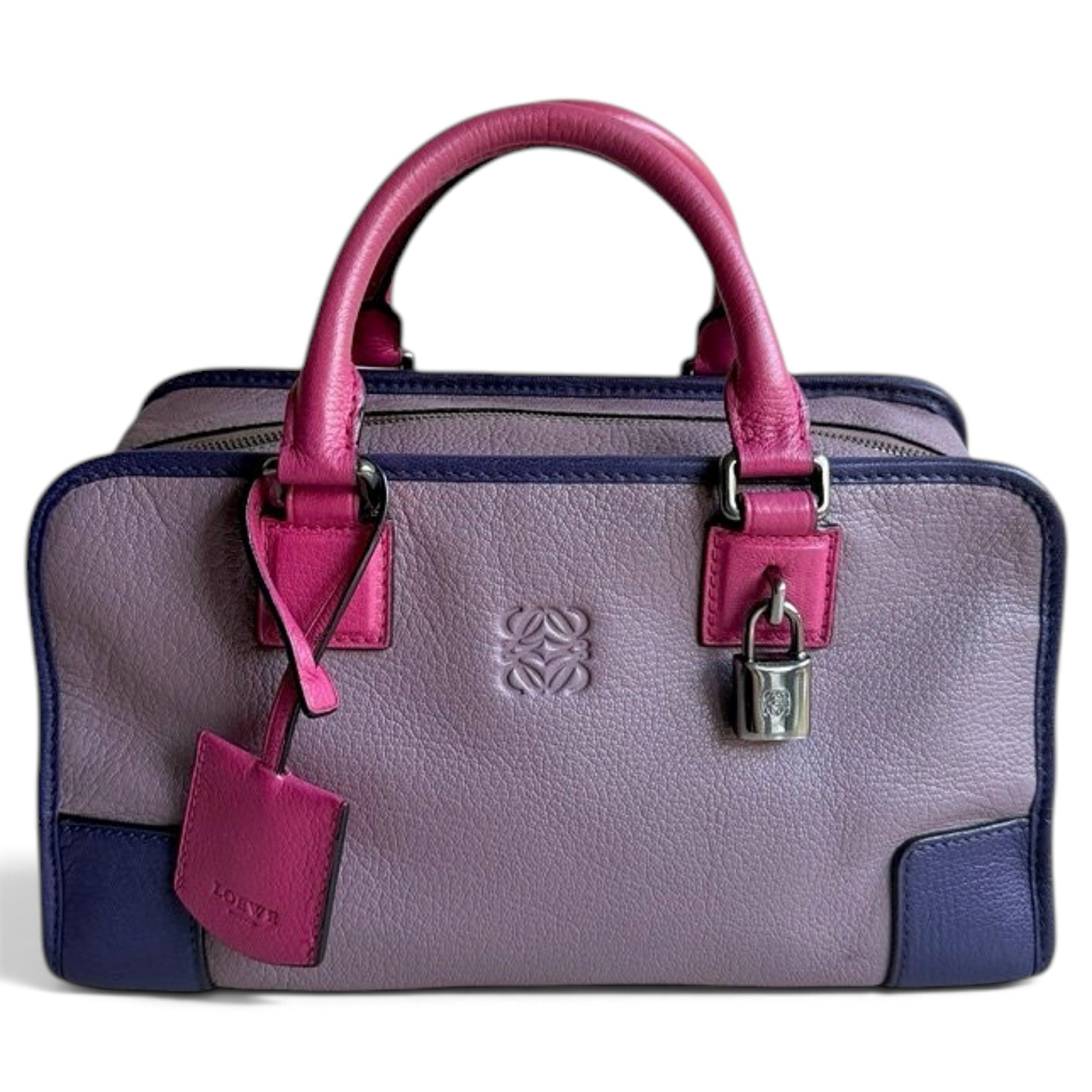 Amazona leather handbag