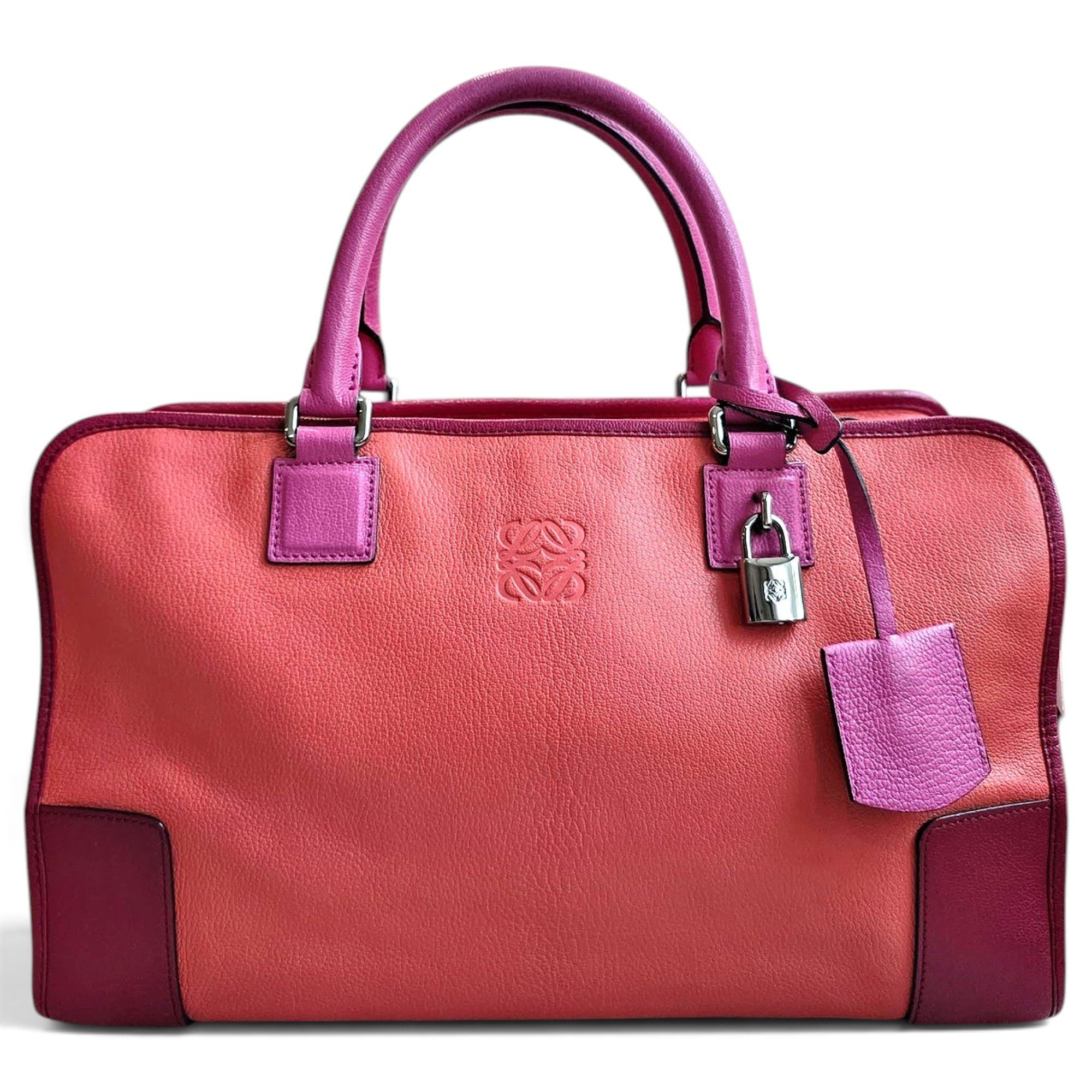Amazona leather handbag