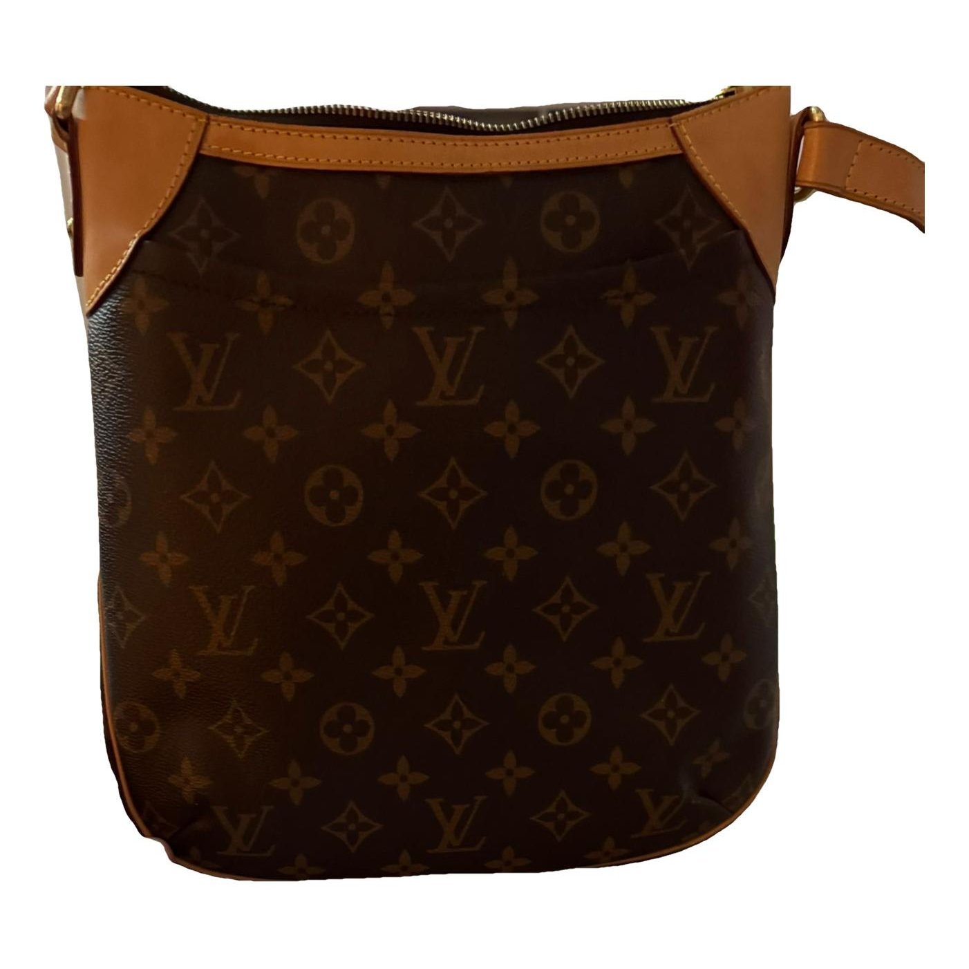 Odéon leather crossbody bag