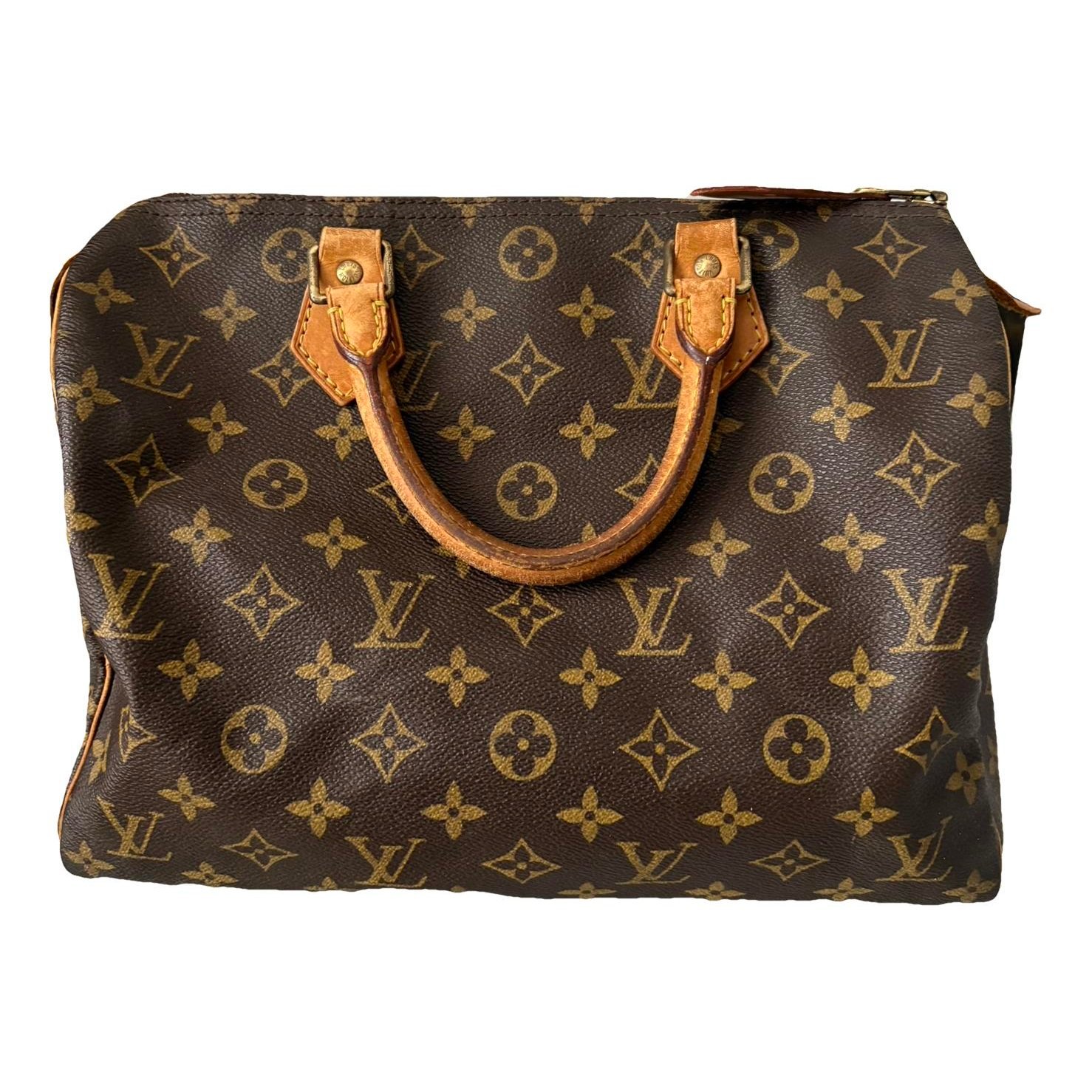 Louis Vuitton Speedy cloth handbag